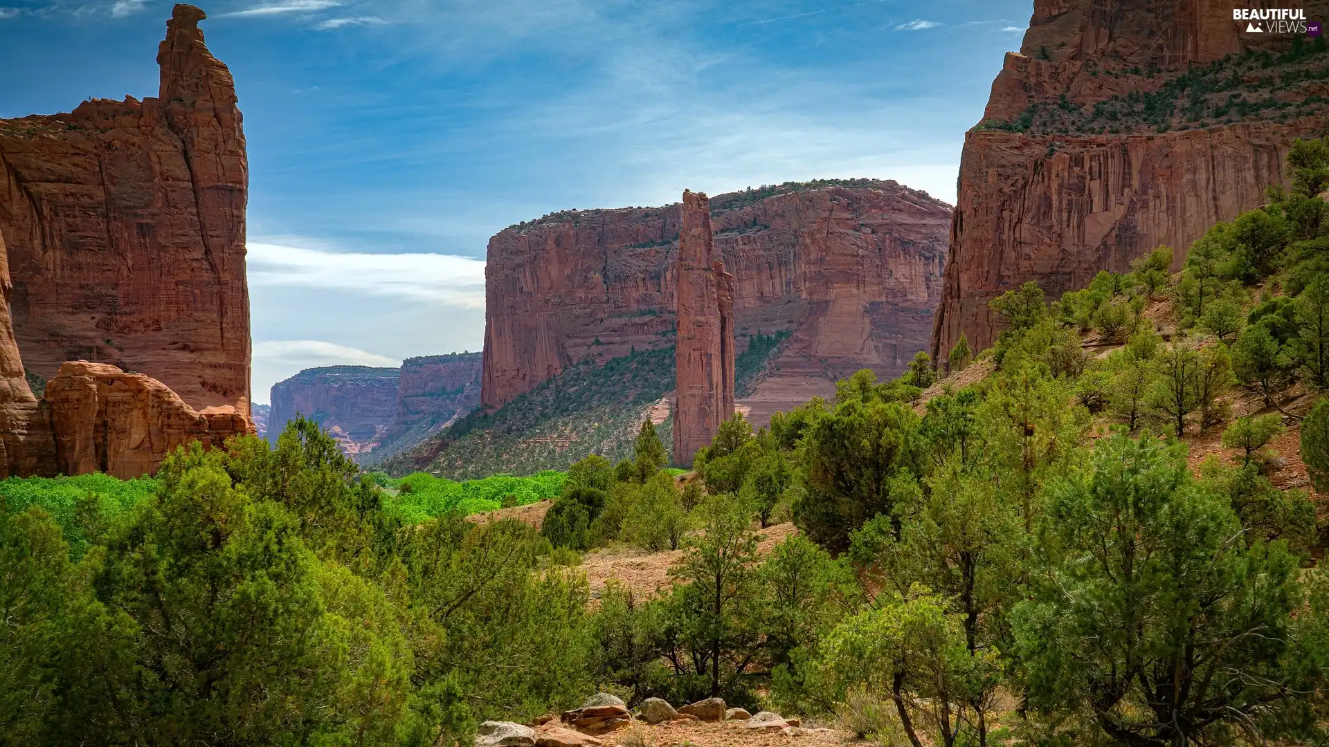 Zion Narrows Canyon, Utah State, trees, Zion National Park, The United States, rocks, viewes