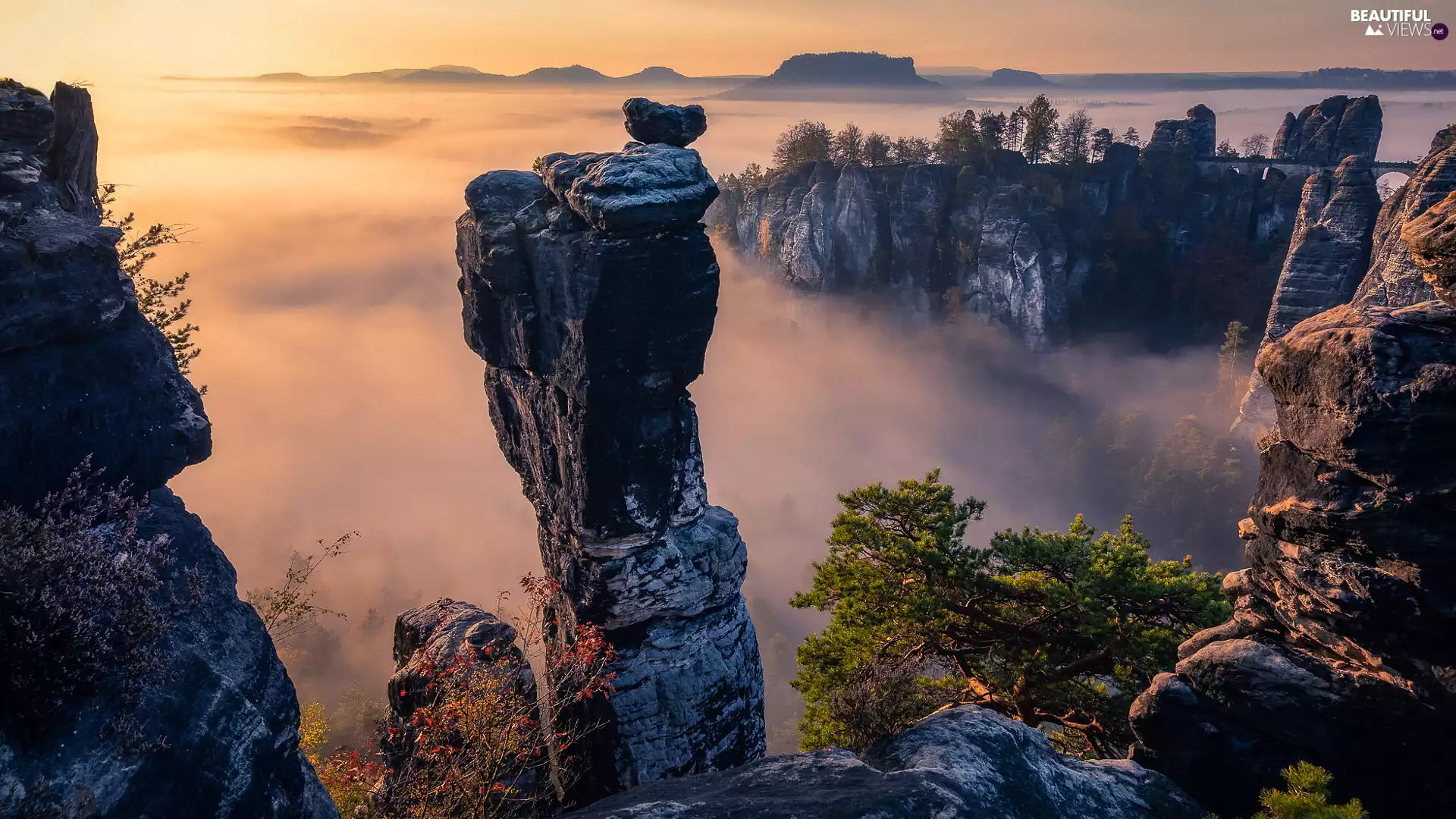 rocks, Děčínská vrchovina, trees, viewes, Saxon Switzerland National Park, Germany, Fog, Sunrise, Rock Formations