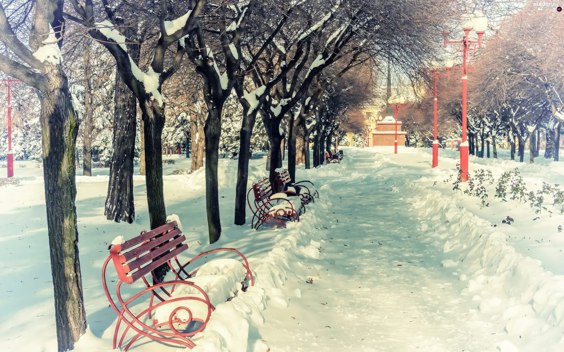 winter, bench, Park, alley