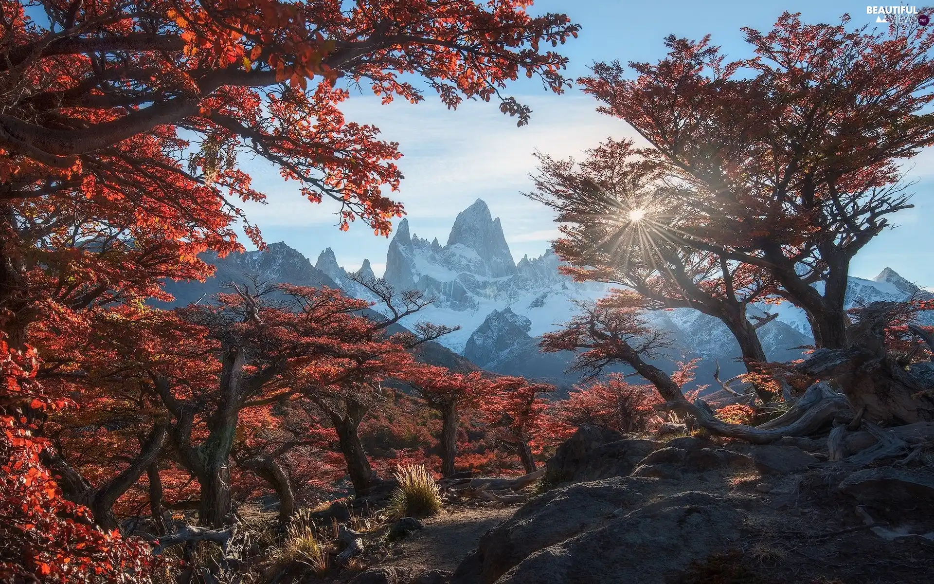 trees, Los Glaciares National Park, Patagonia, autumn, Fitz Roy Mountain, Argentina, Mountains, rays of the Sun, viewes, autumn