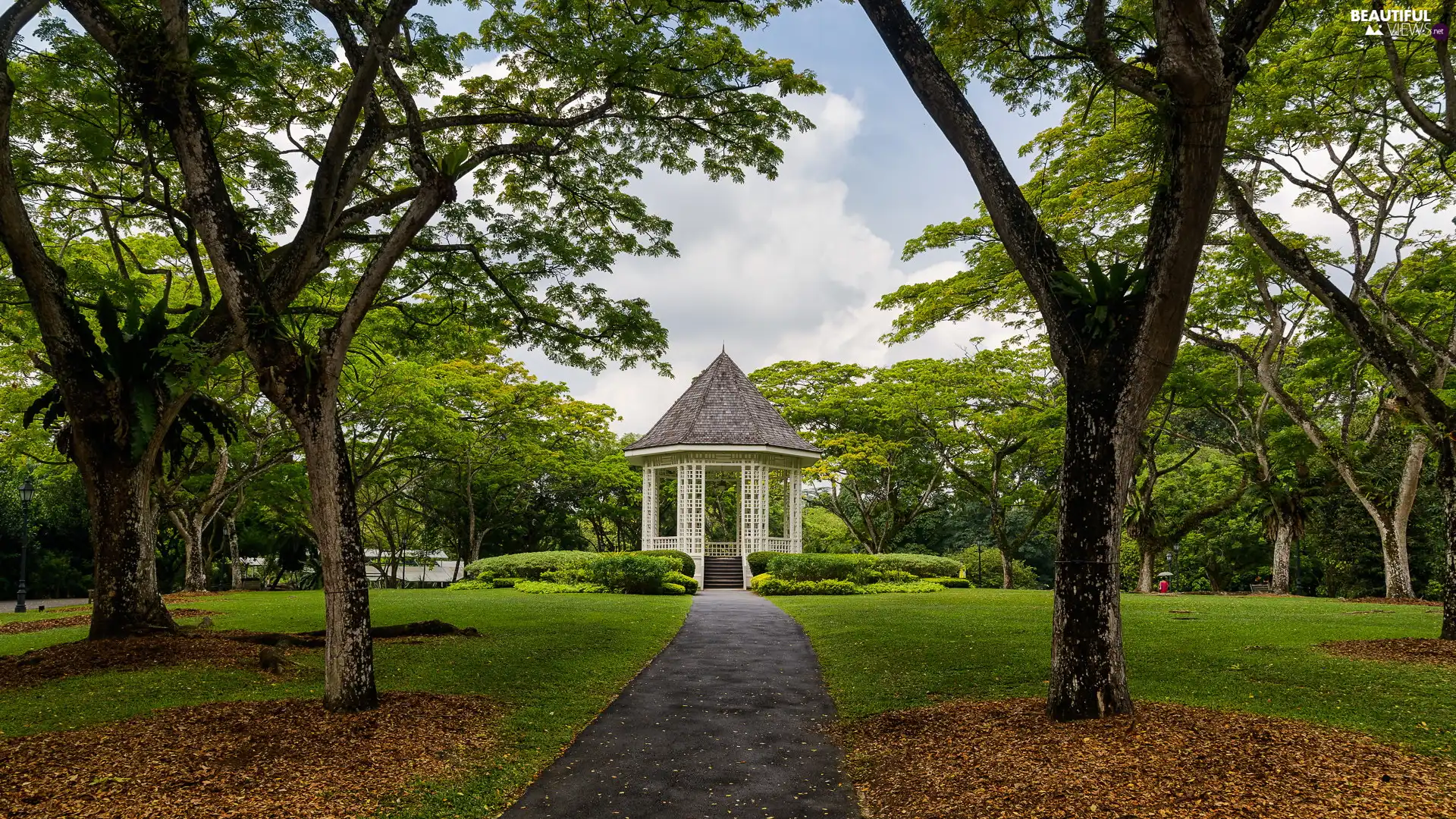 viewes, Path, arbour, trees, Park