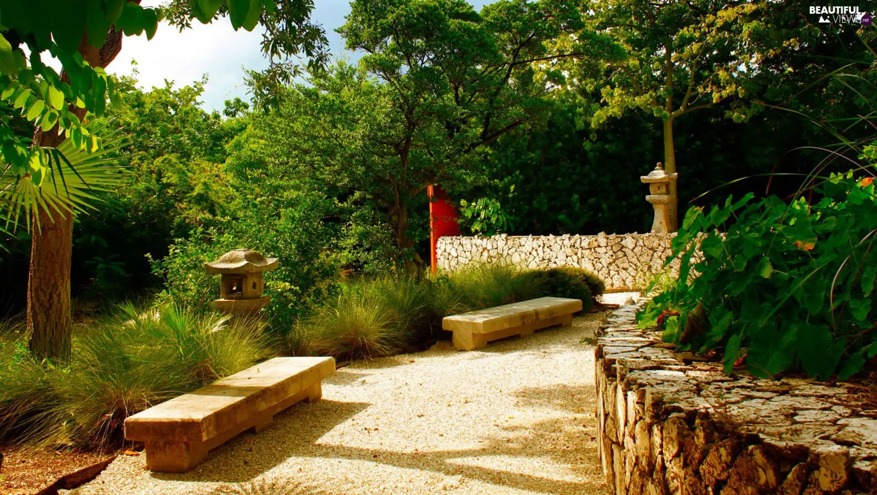 Path, Park, bench