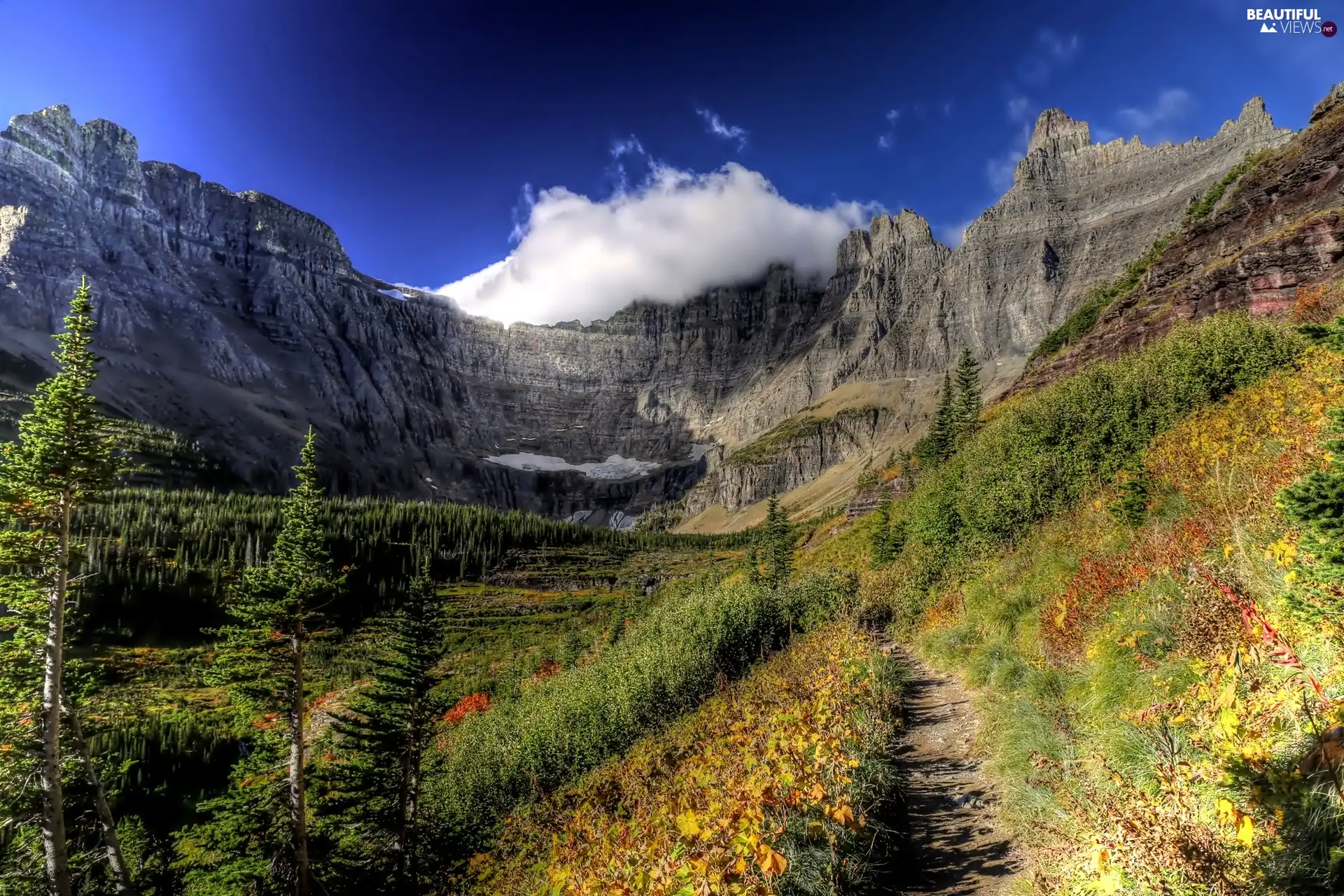 Path, Mountains, forest
