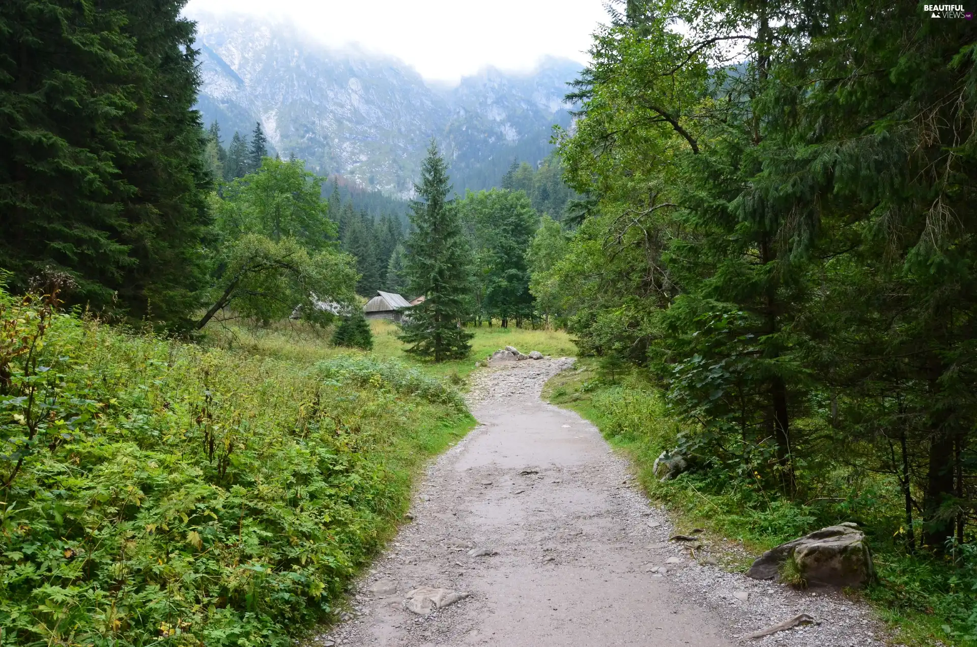 Mountains, Path