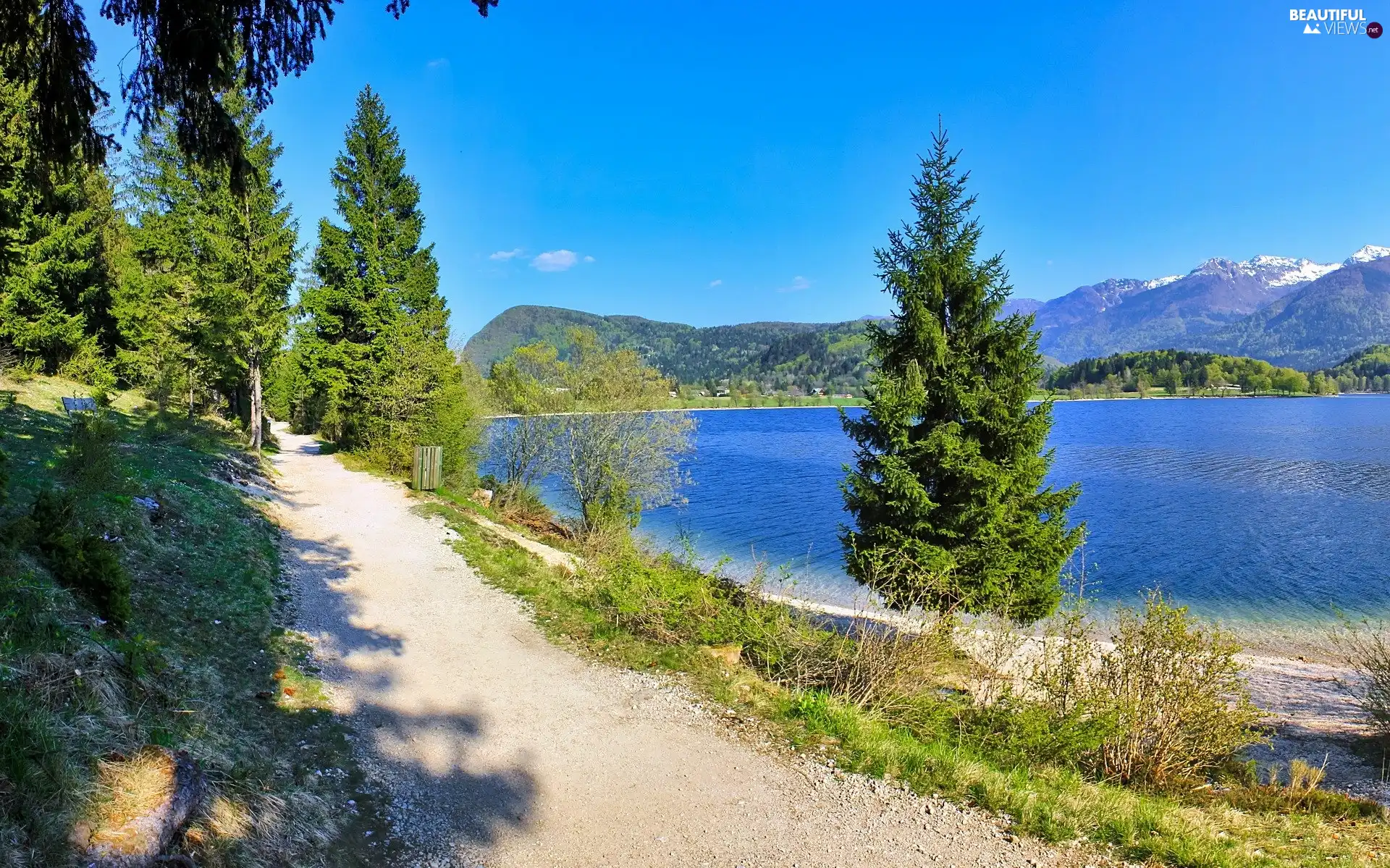 Path, walking, Mountains, Spruces, lake