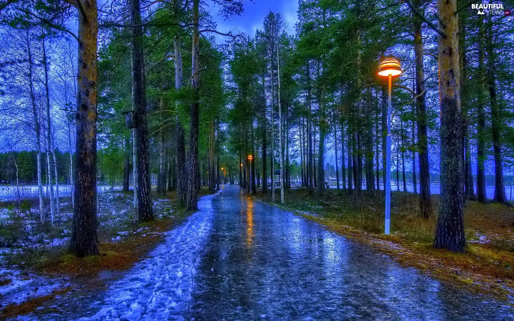 Pavement, Lamps, trees, viewes, Park