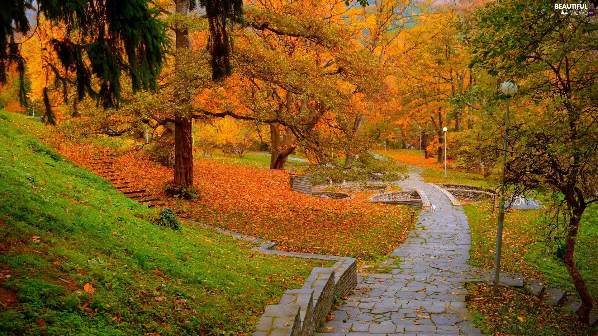 viewes, autumn, Park, Pavement, lanterns, trees