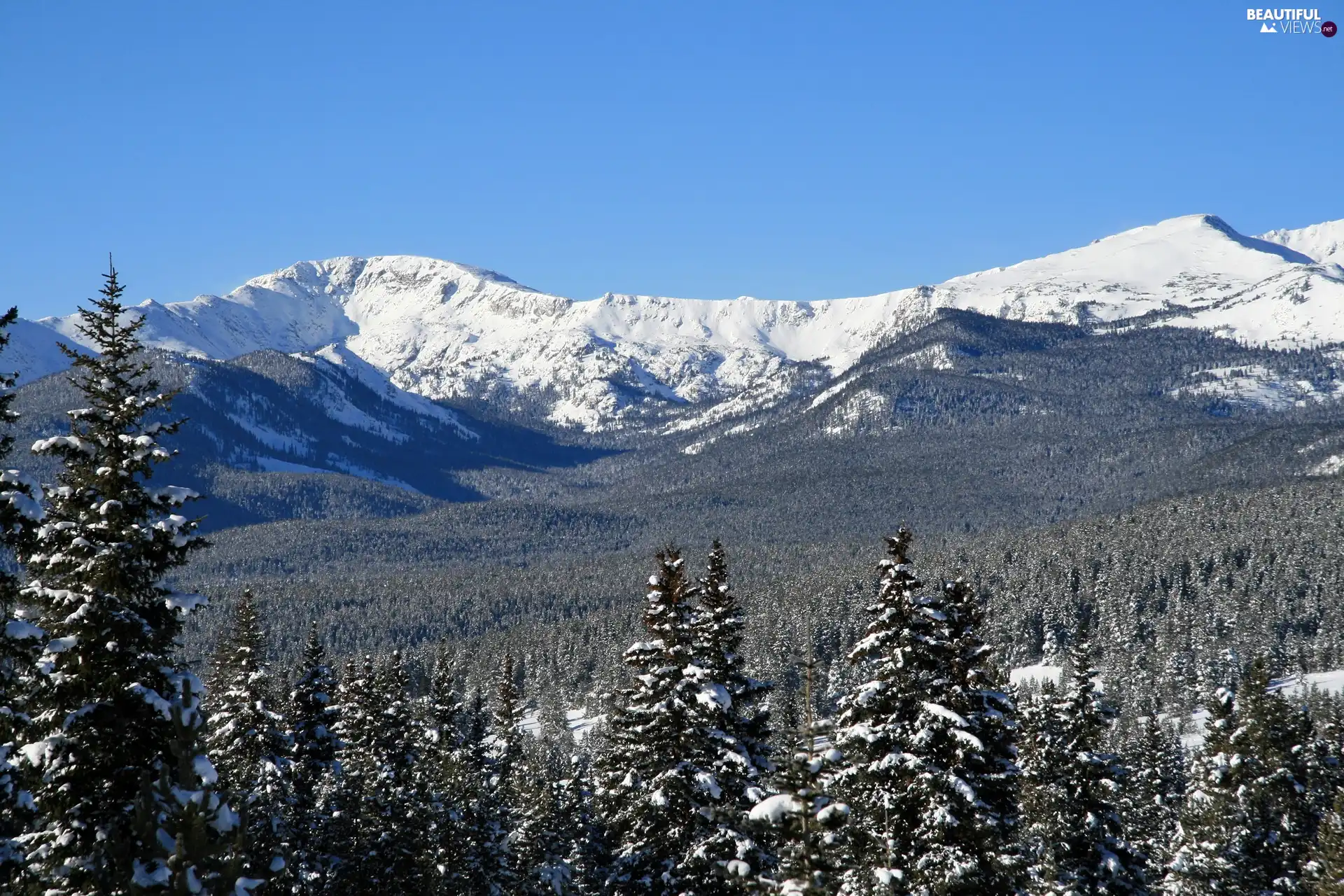 peaks, winter, woods, Snowy, Mountains