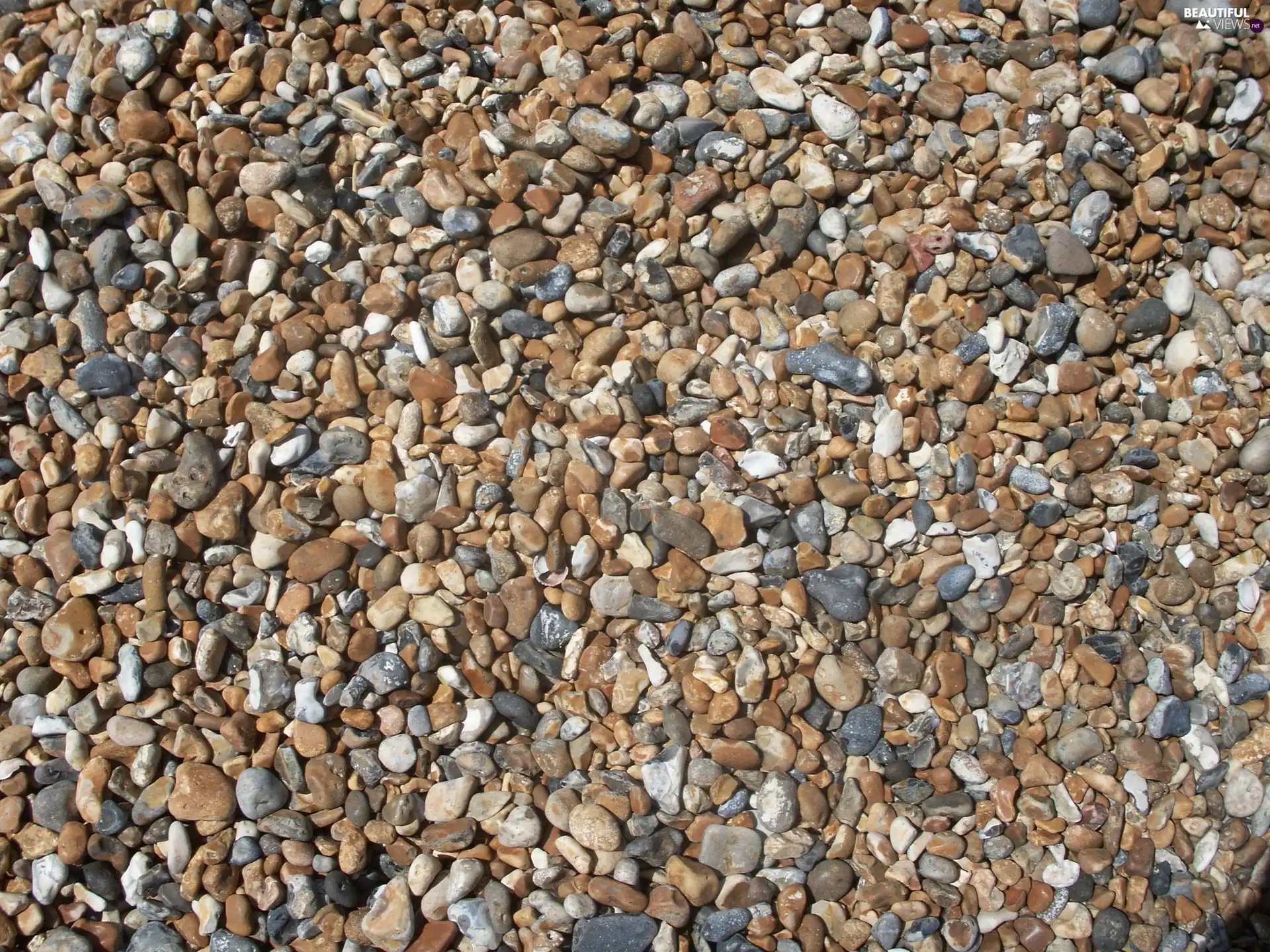 Pebble