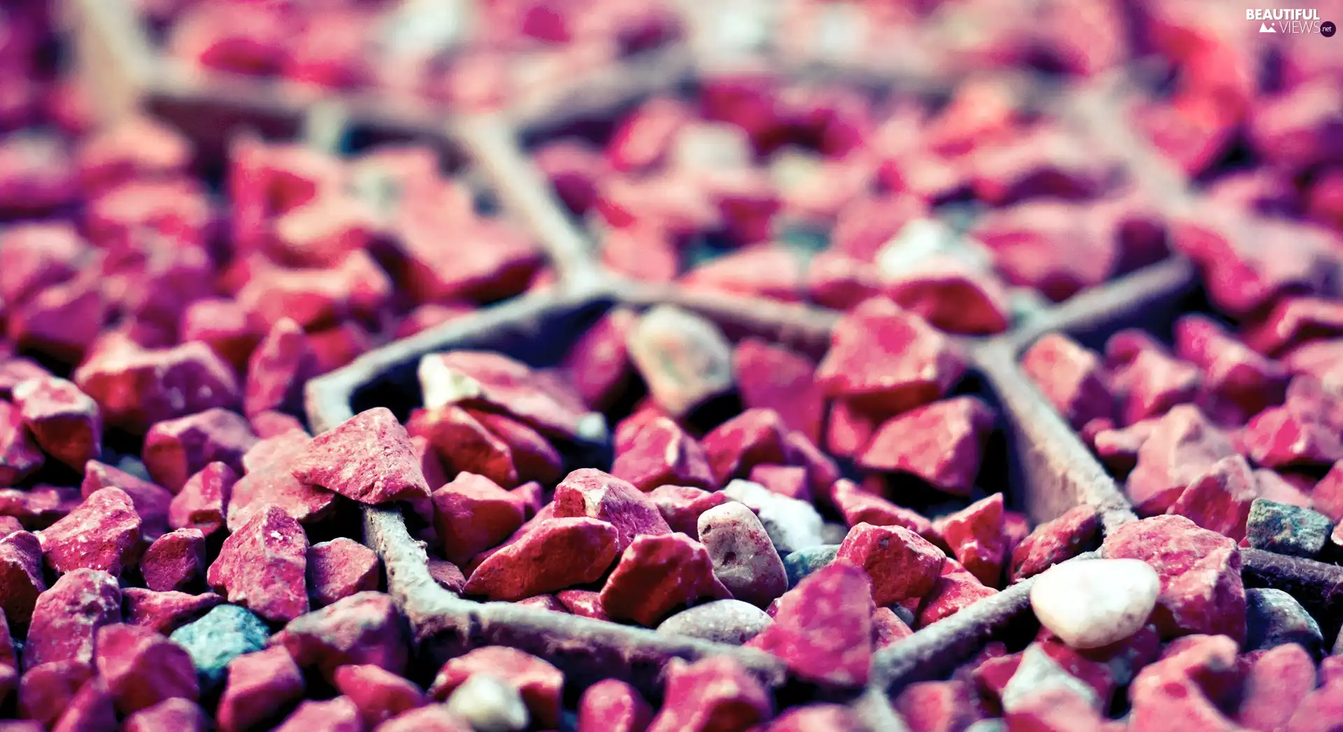 Pink, pebbles