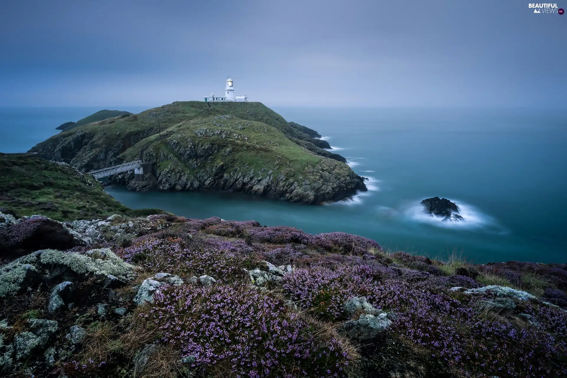 heathers, national, Coast, great, Lighthouse, Park, Pembrokeshire Coast, Britain, wales, maritime