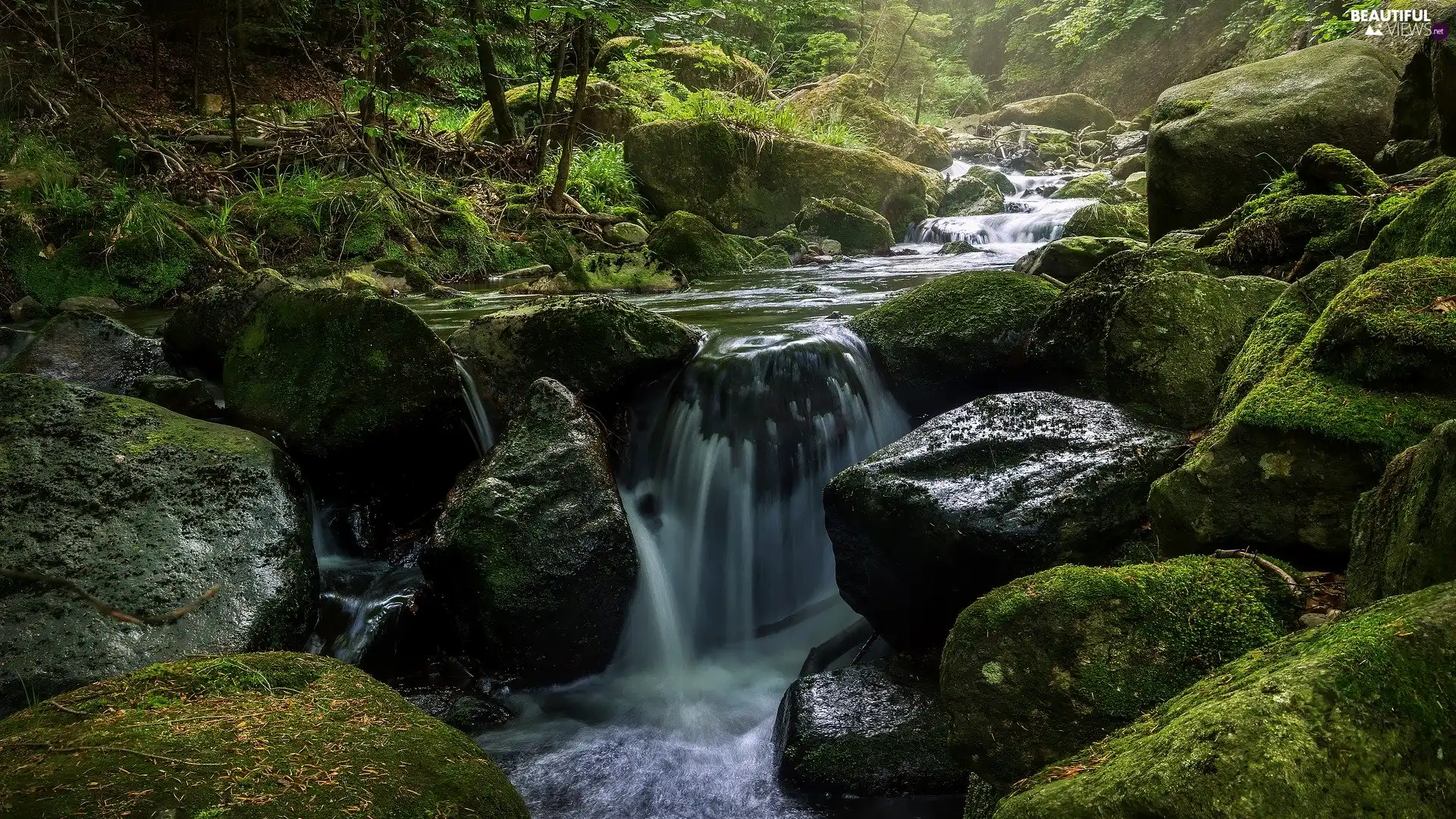 stream, mossy, branch pics, grass, Cascades, Stones