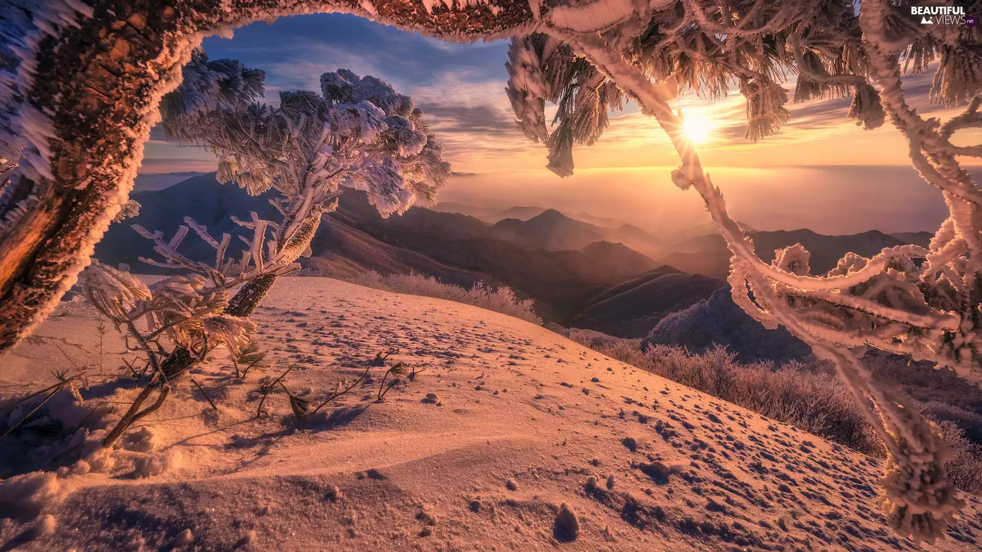 Snowy, Sunrise, viewes, winter, Mountains, trees, branch pics