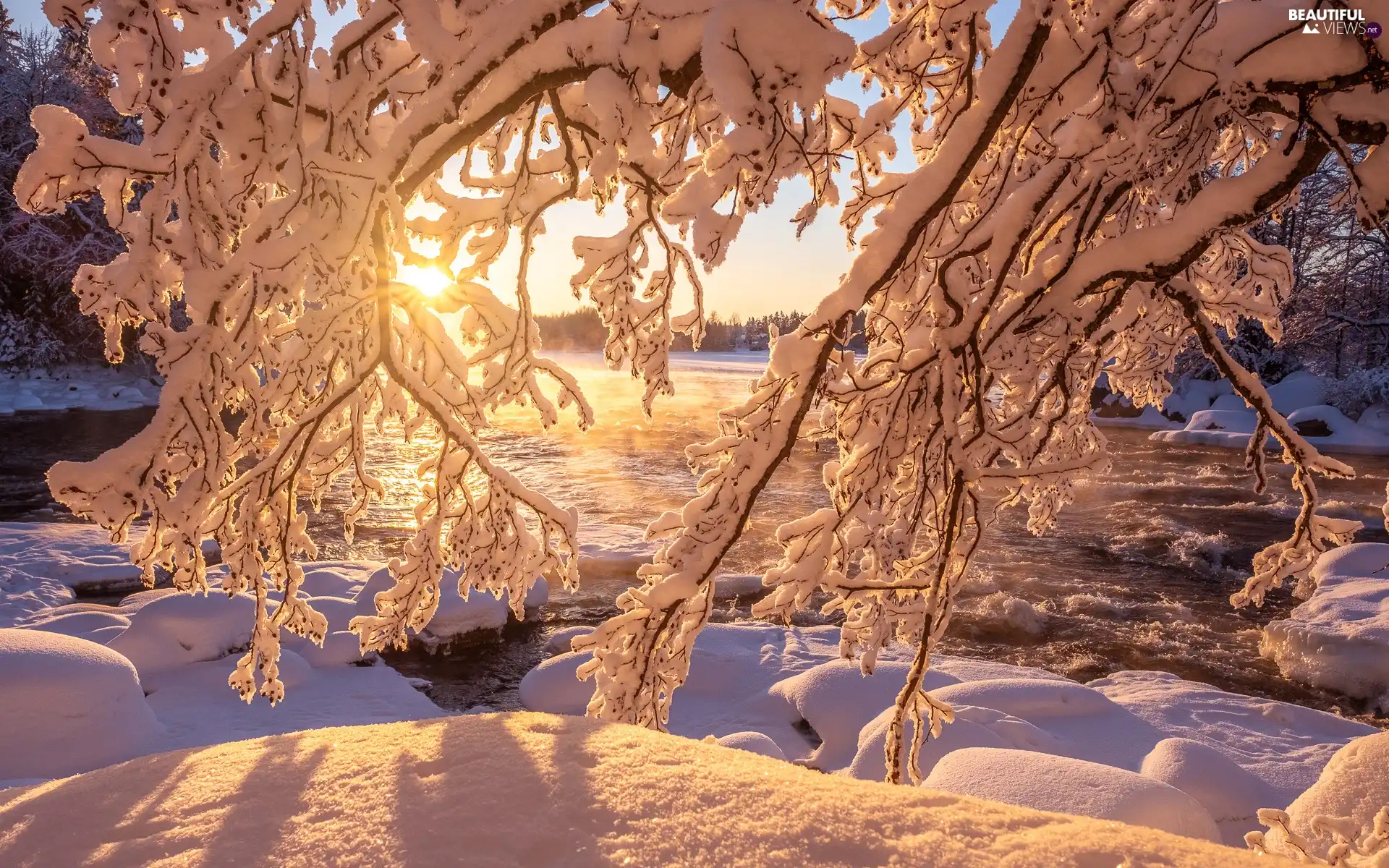 viewes, Sunrise, branch pics, trees, winter