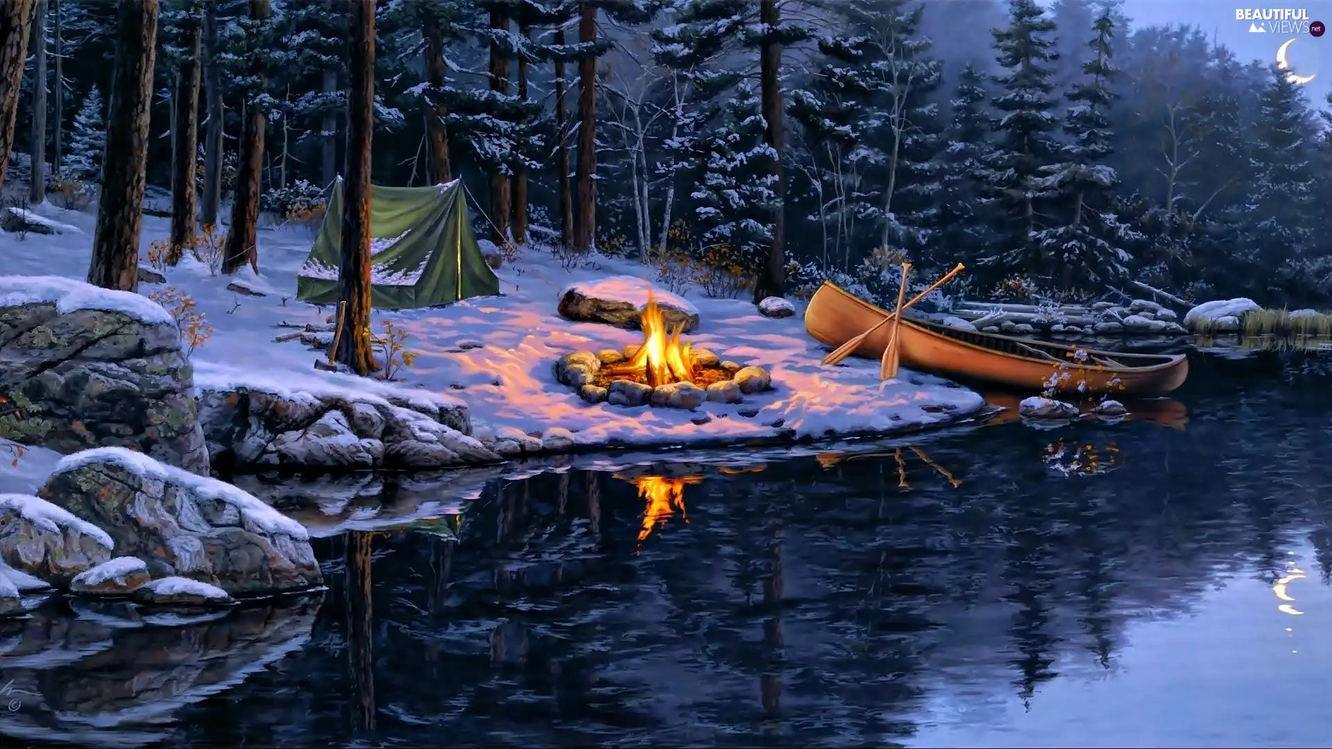 picture, Darrell Bush, lake, fire, forest