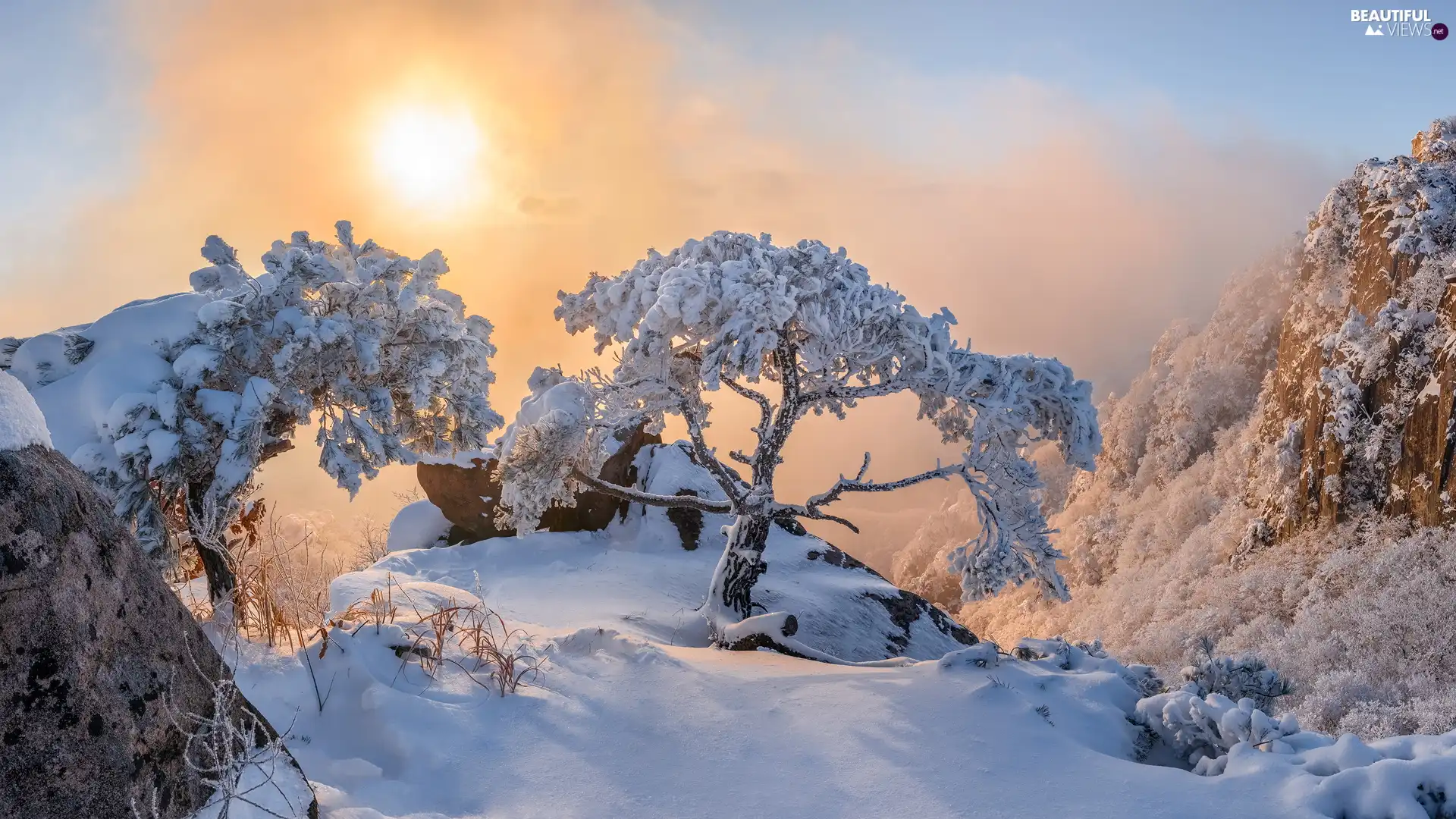 rocks, Snowy, Hazy, pine, winter, Mountains, sun