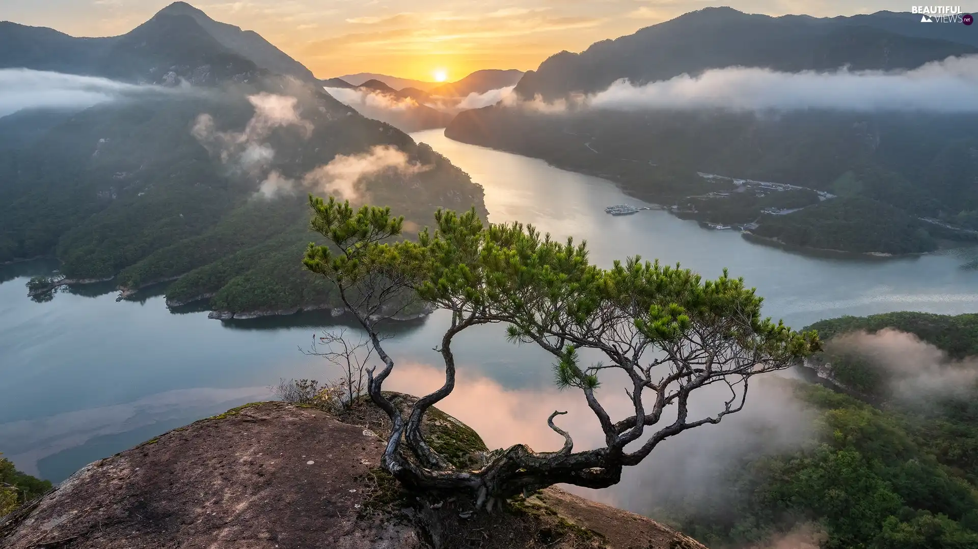 River, Sunrise, Fog, pine, Rocks, Mountains