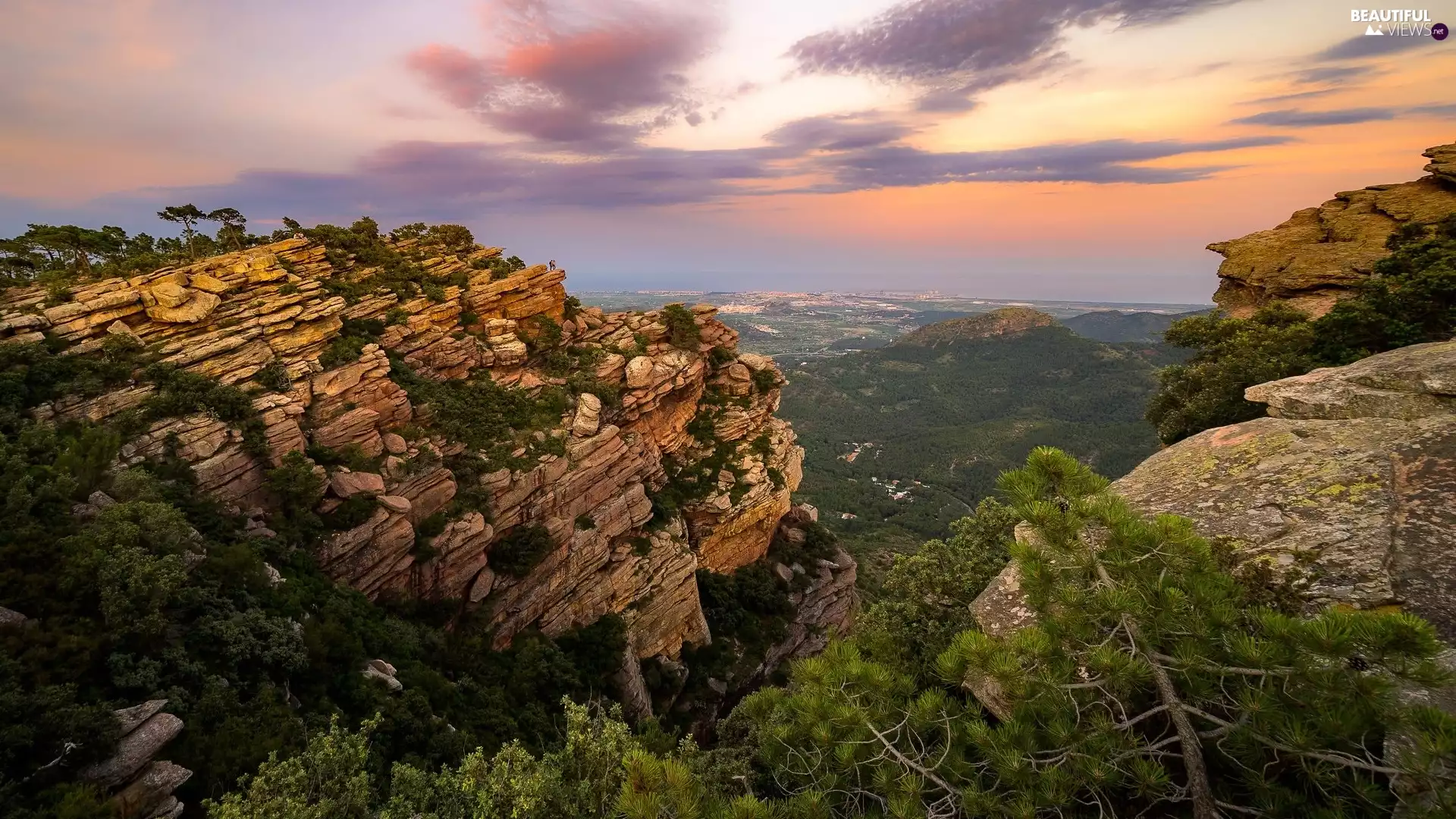 viewes, pine, rocks, trees, Mountains
