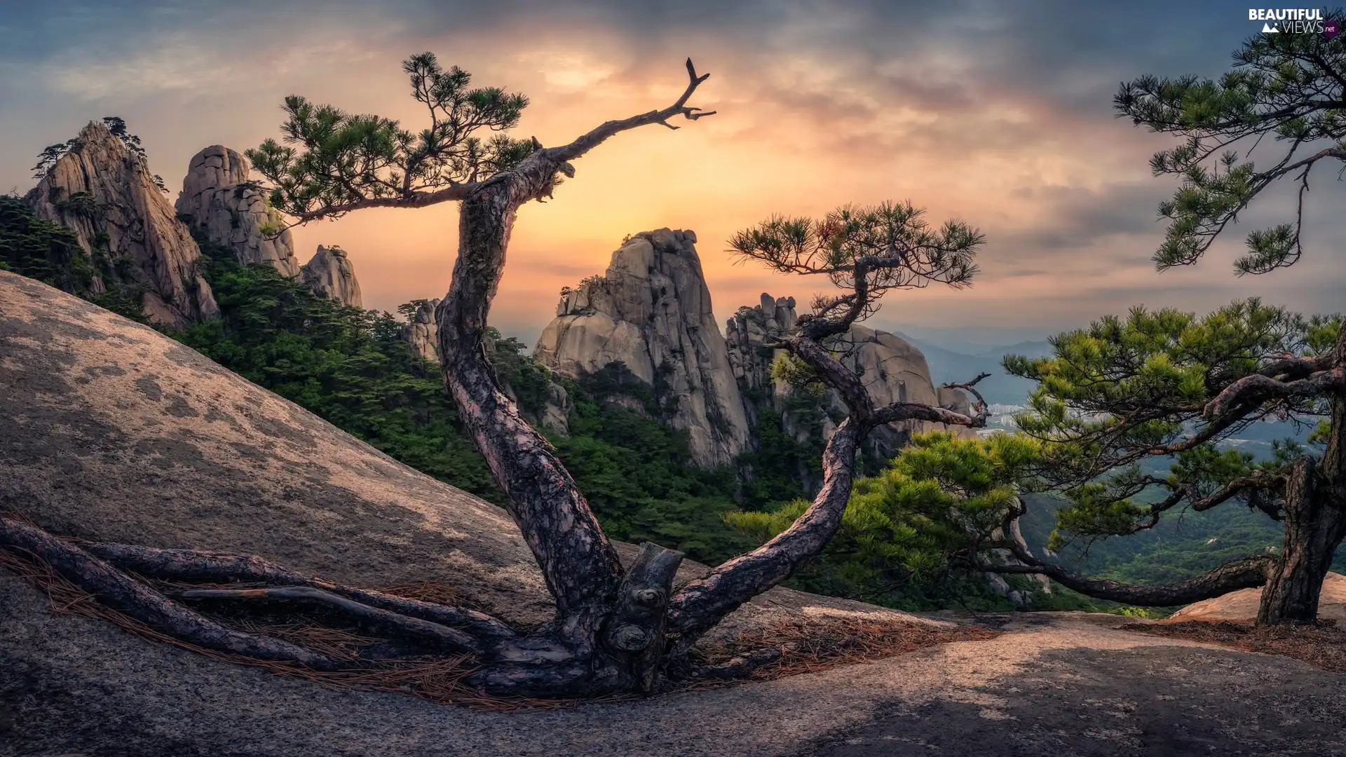 Sunrise, Mountains, viewes, pine, trees, rocks