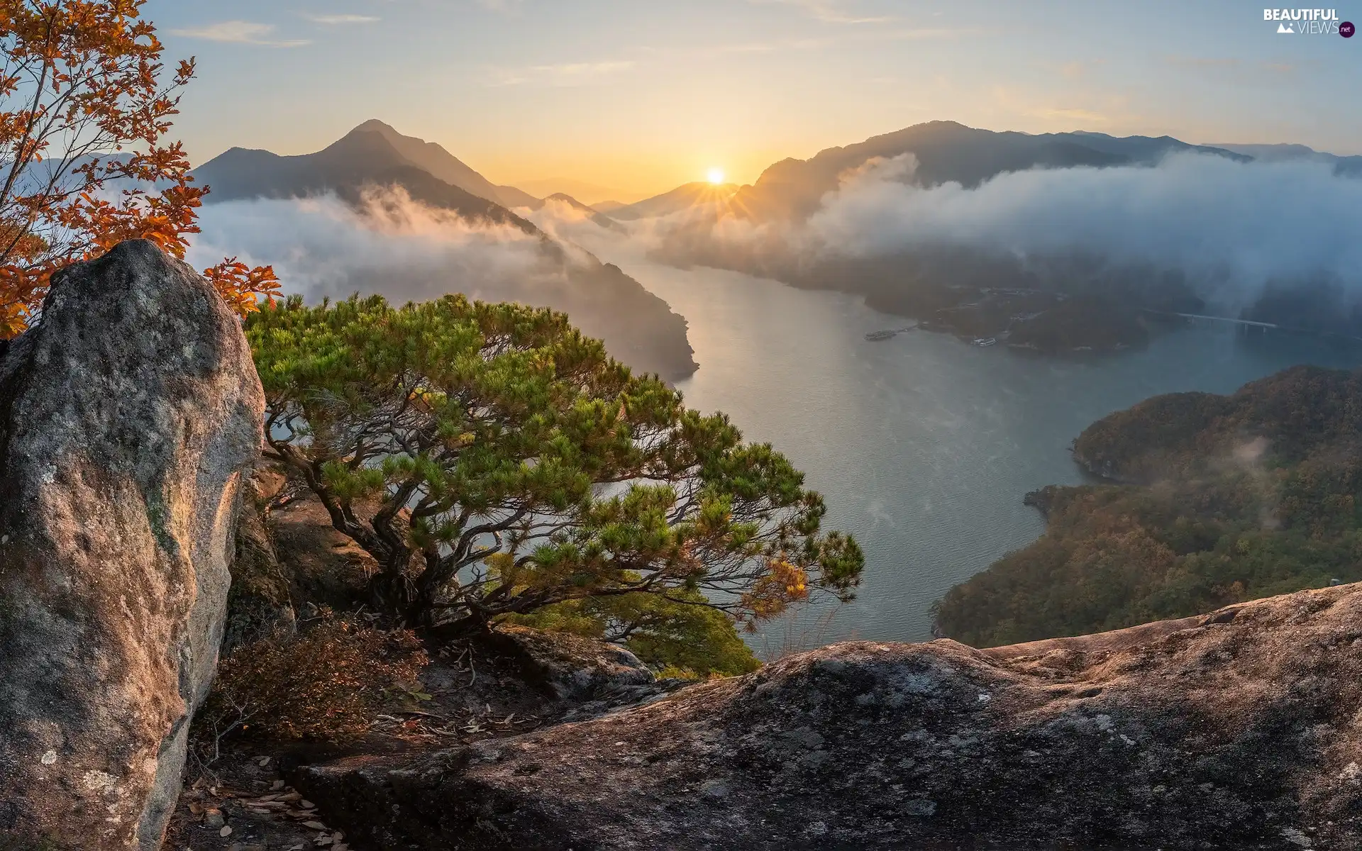 River, Great Sunsets, pine, Fog, rocks, Mountains