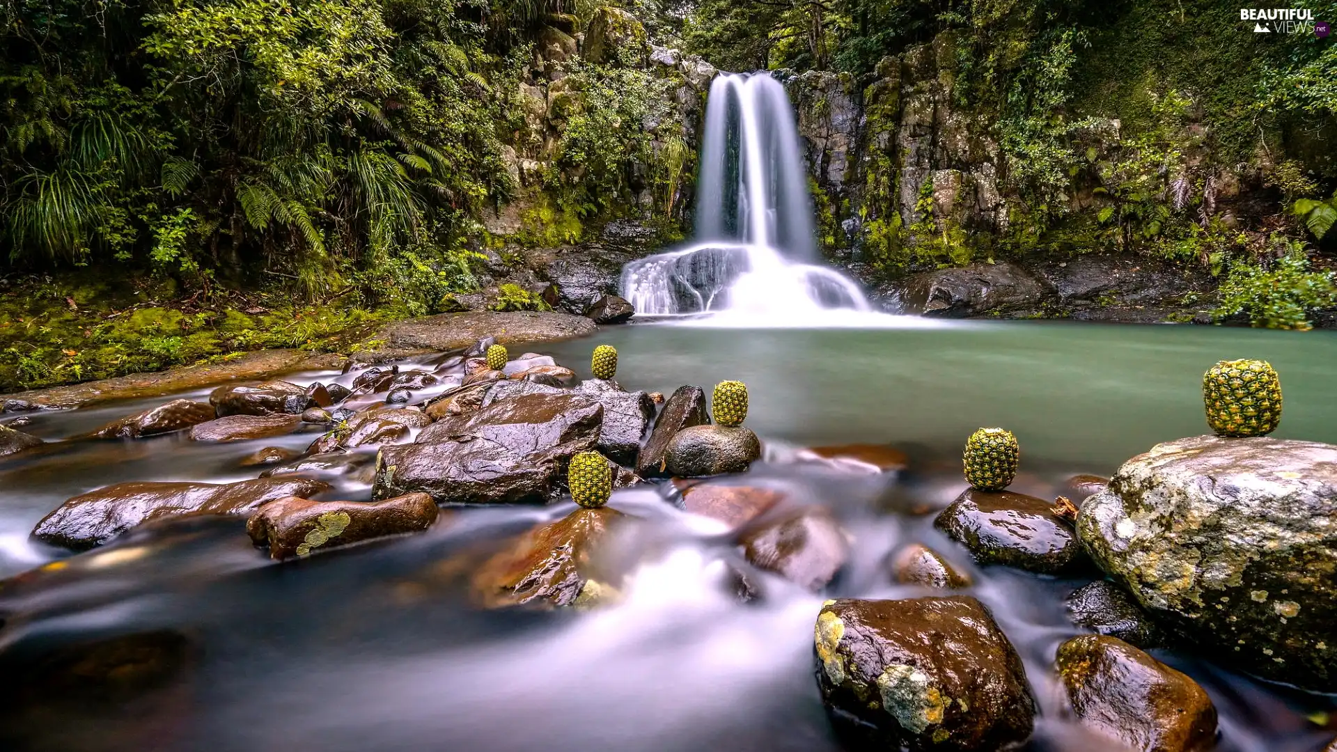 rocks, River, Plants, Pineapples, Stones, waterfall