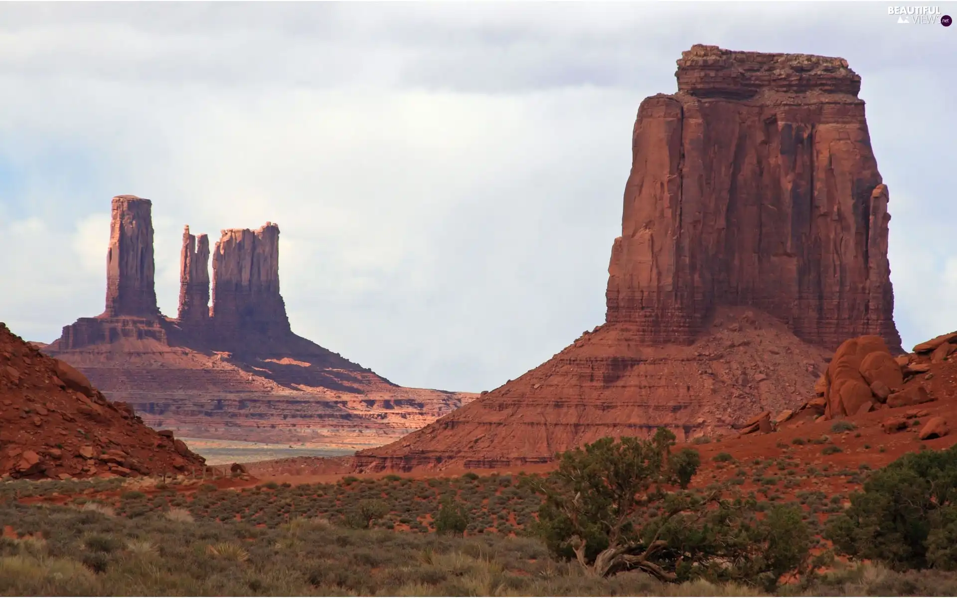 canyon, Plants