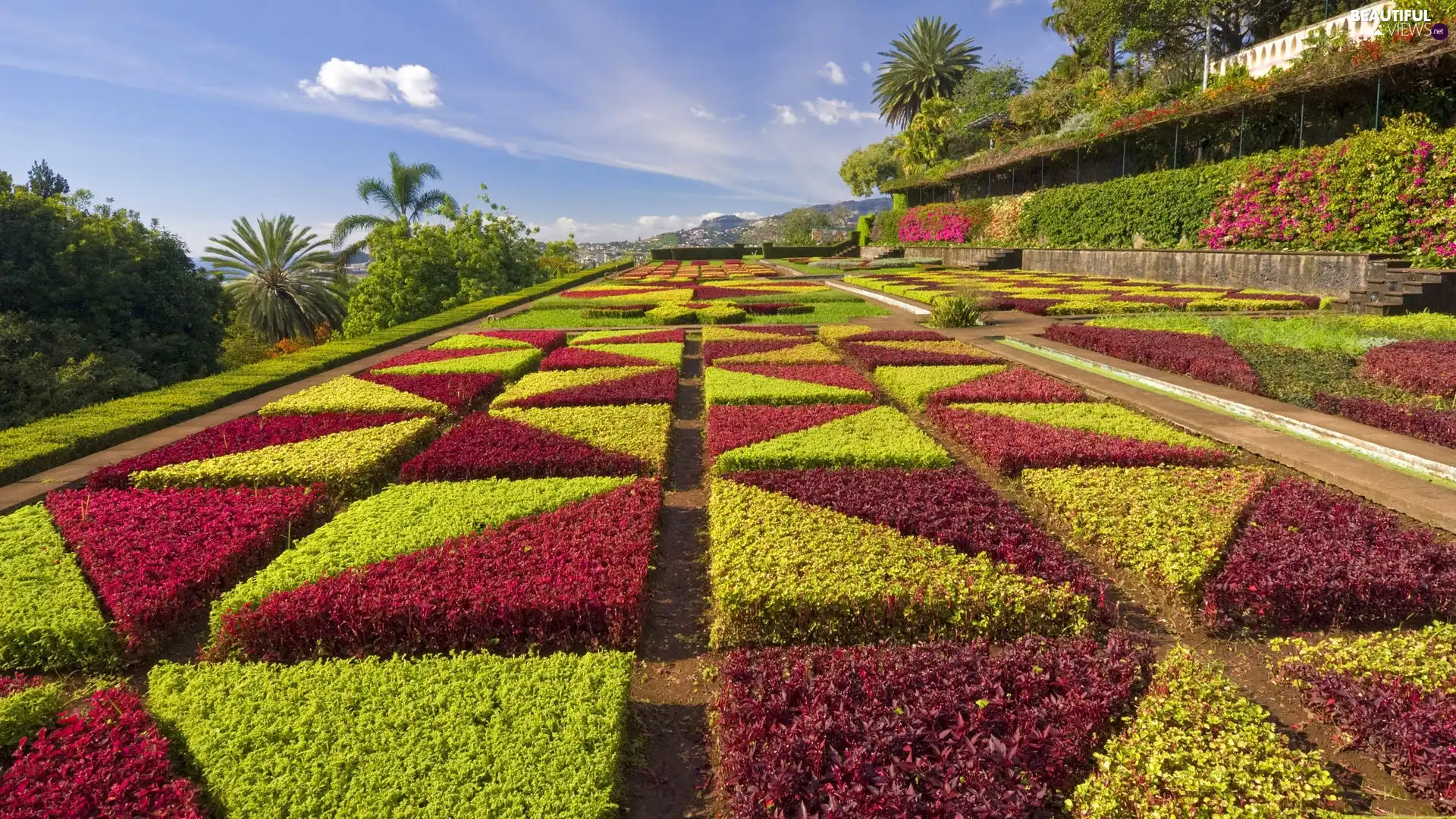 Gardens, Red, Plants, green