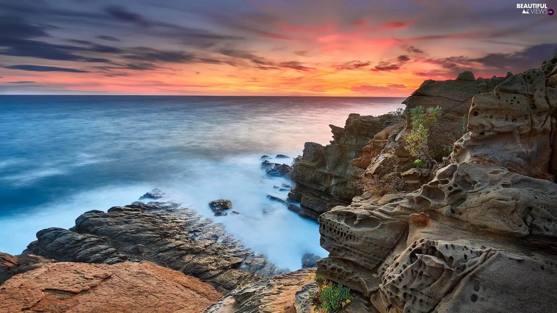 sea, Plants, Great Sunsets, rocks