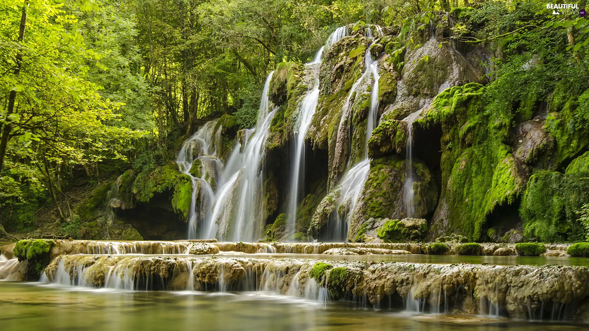 rocks, waterfall, viewes, Plants, trees, mossy