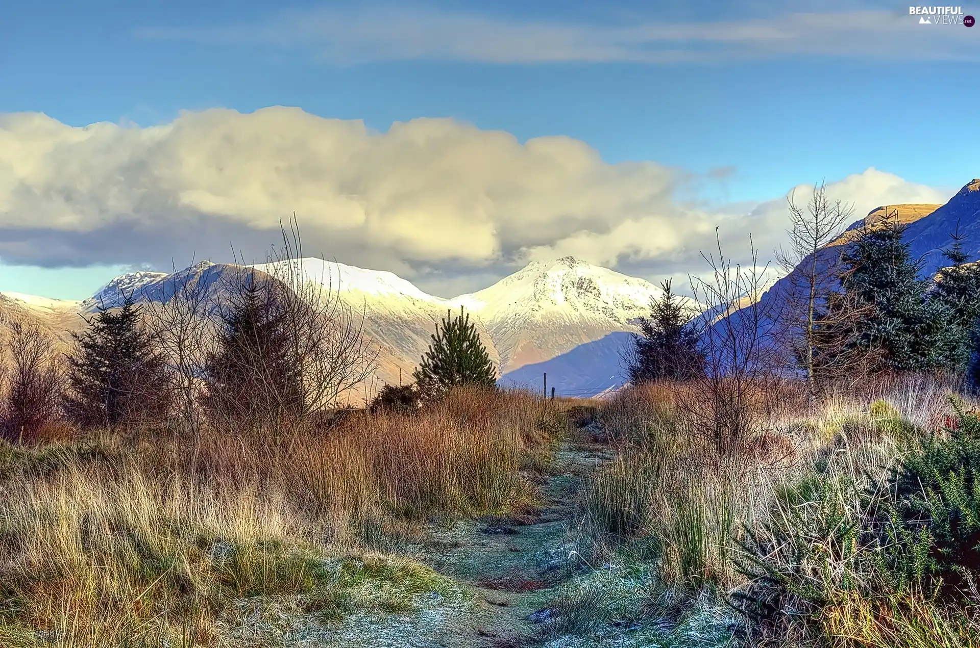 Mountains, Path, Plants, clouds