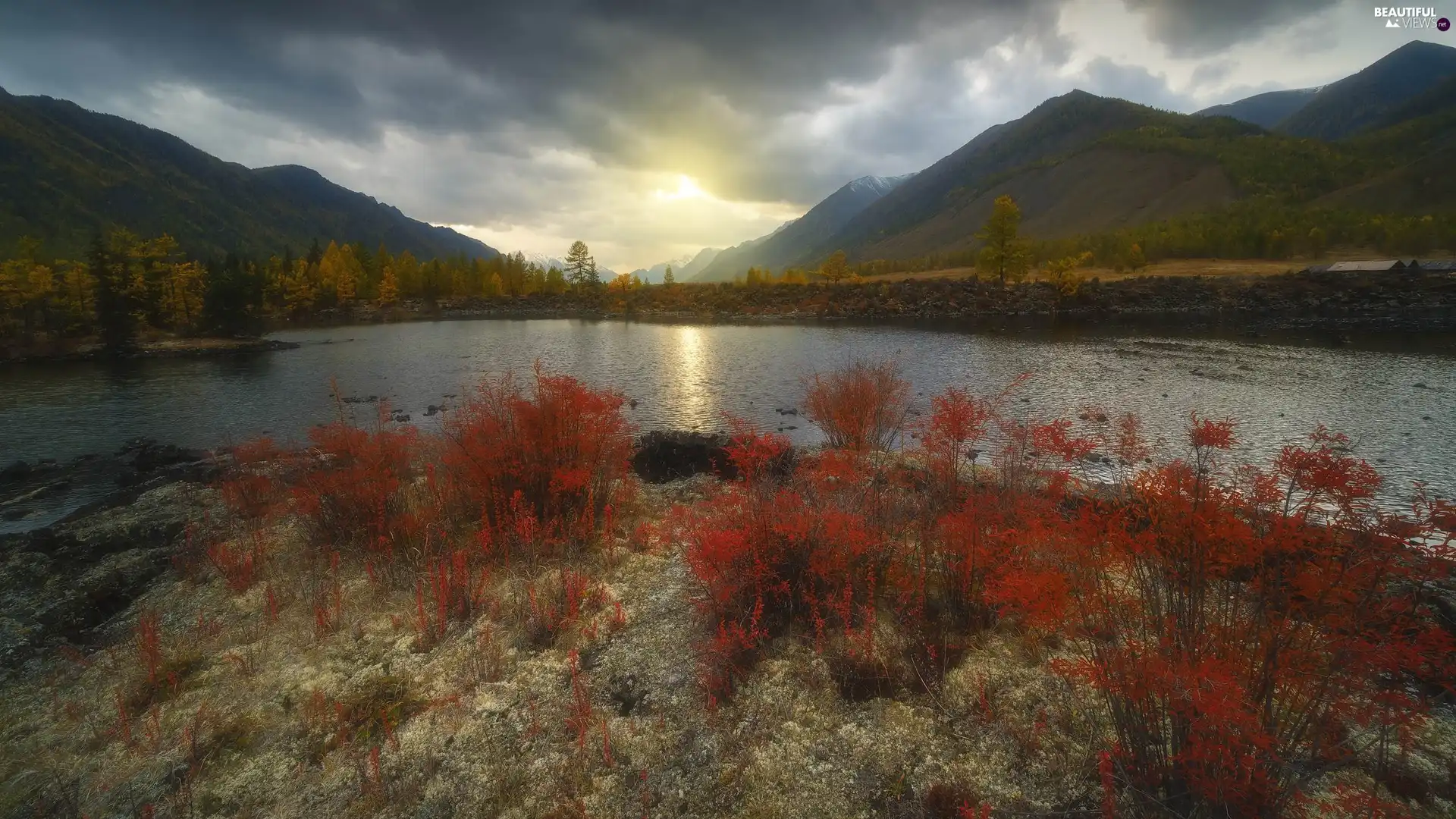trees, Mountains, Red, Plants, viewes, River