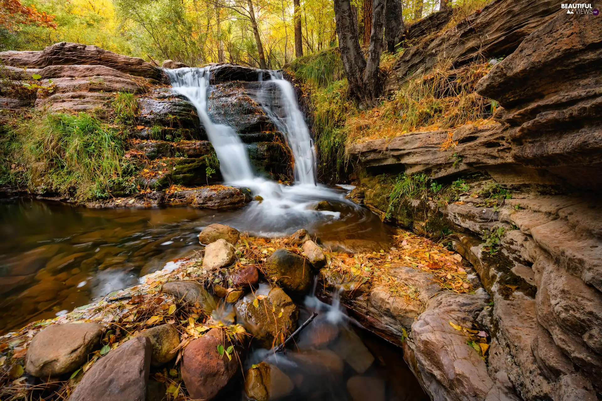 Stones, Plants, River, rocks, waterfall