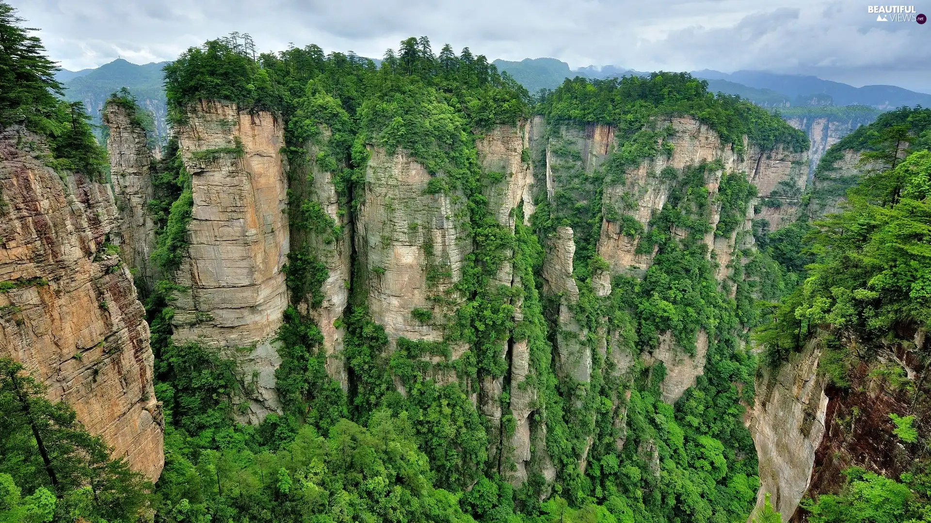 Plants, Mountains, rocks