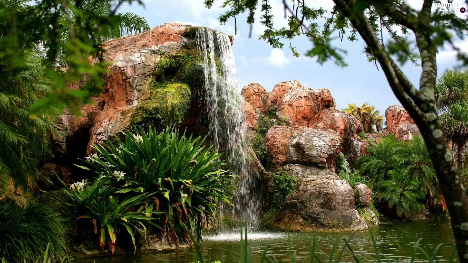 Plants, waterfall, rocks