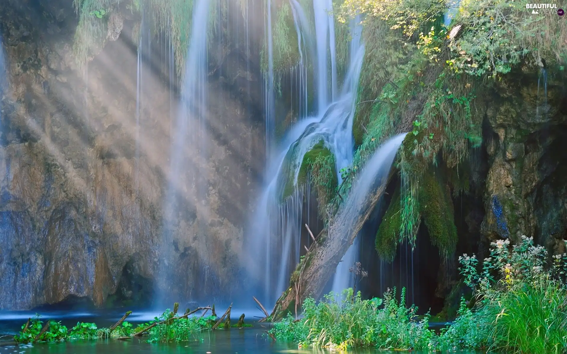 Plants, waterfall, Rocks