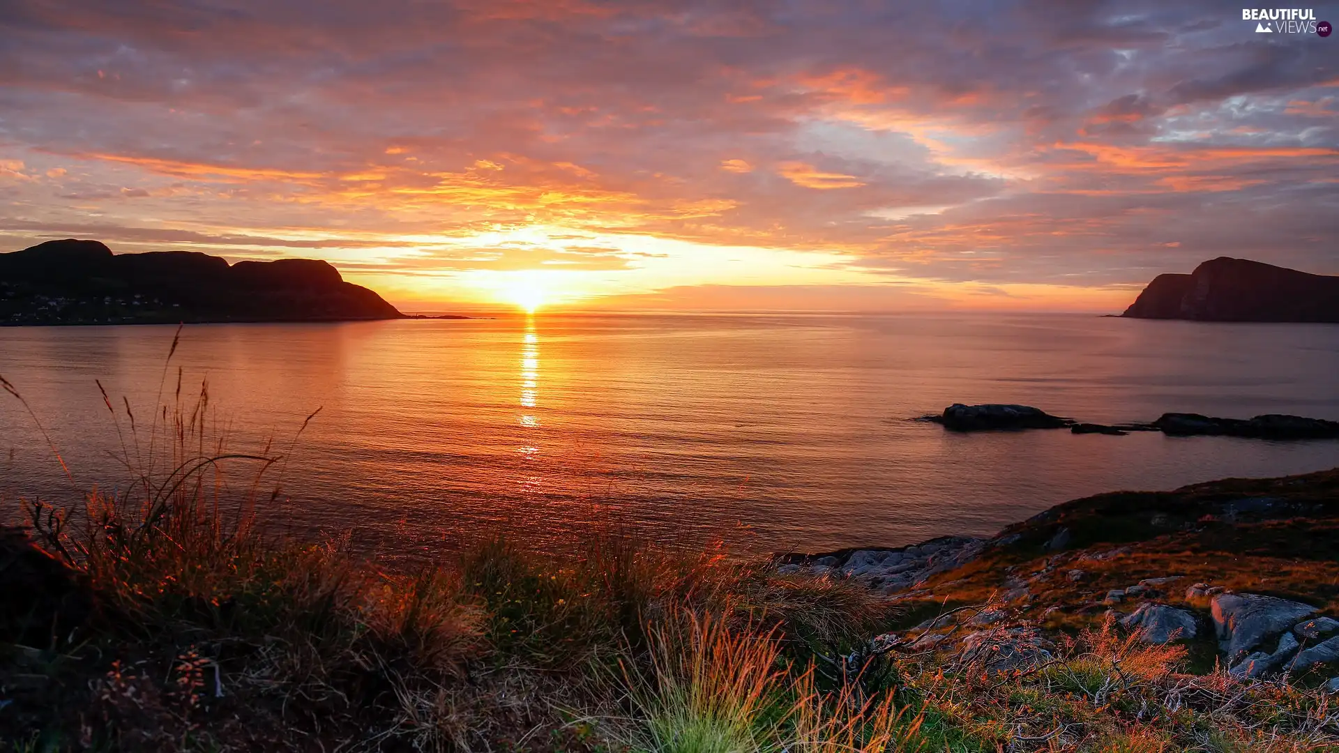 rocks, Plants, sea, Mountains, Sunrise