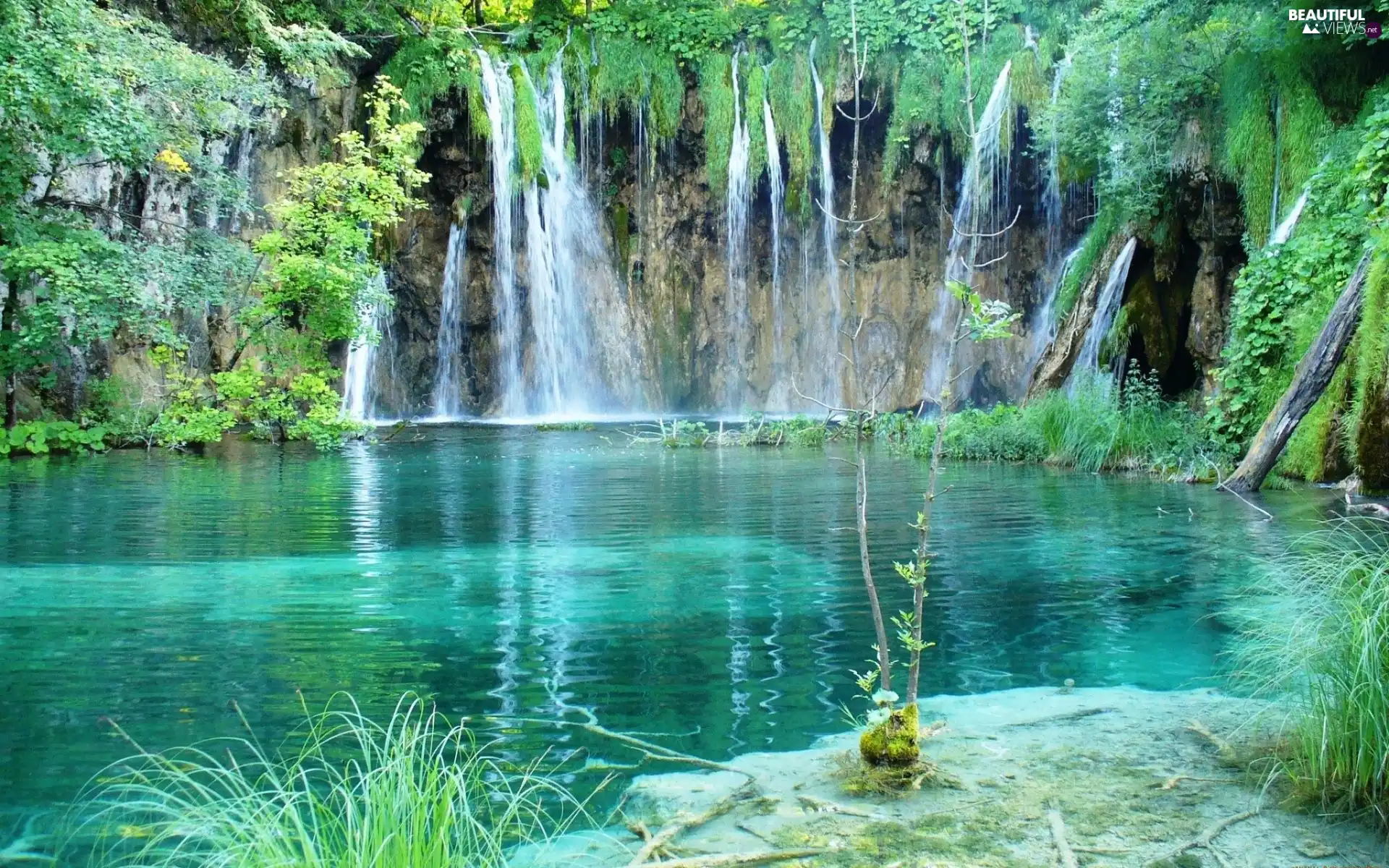 waterfall, water, Plants, Emerald