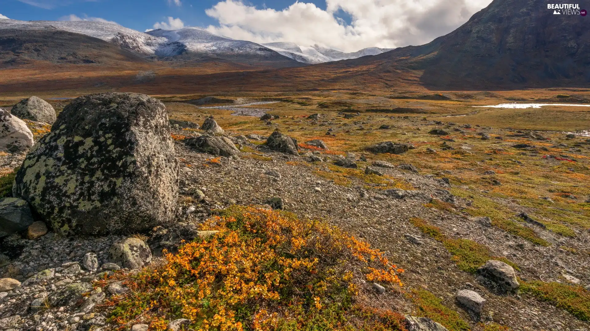 Mountains, Stones, Plants, plateau