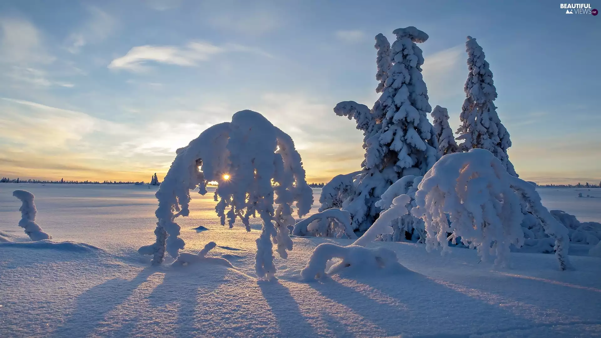 Lapland, Sweden, Blaikfjäll Plateau, Blaikfjäll Nature Reserve, trees, viewes, winter, Snowy, Great Sunsets