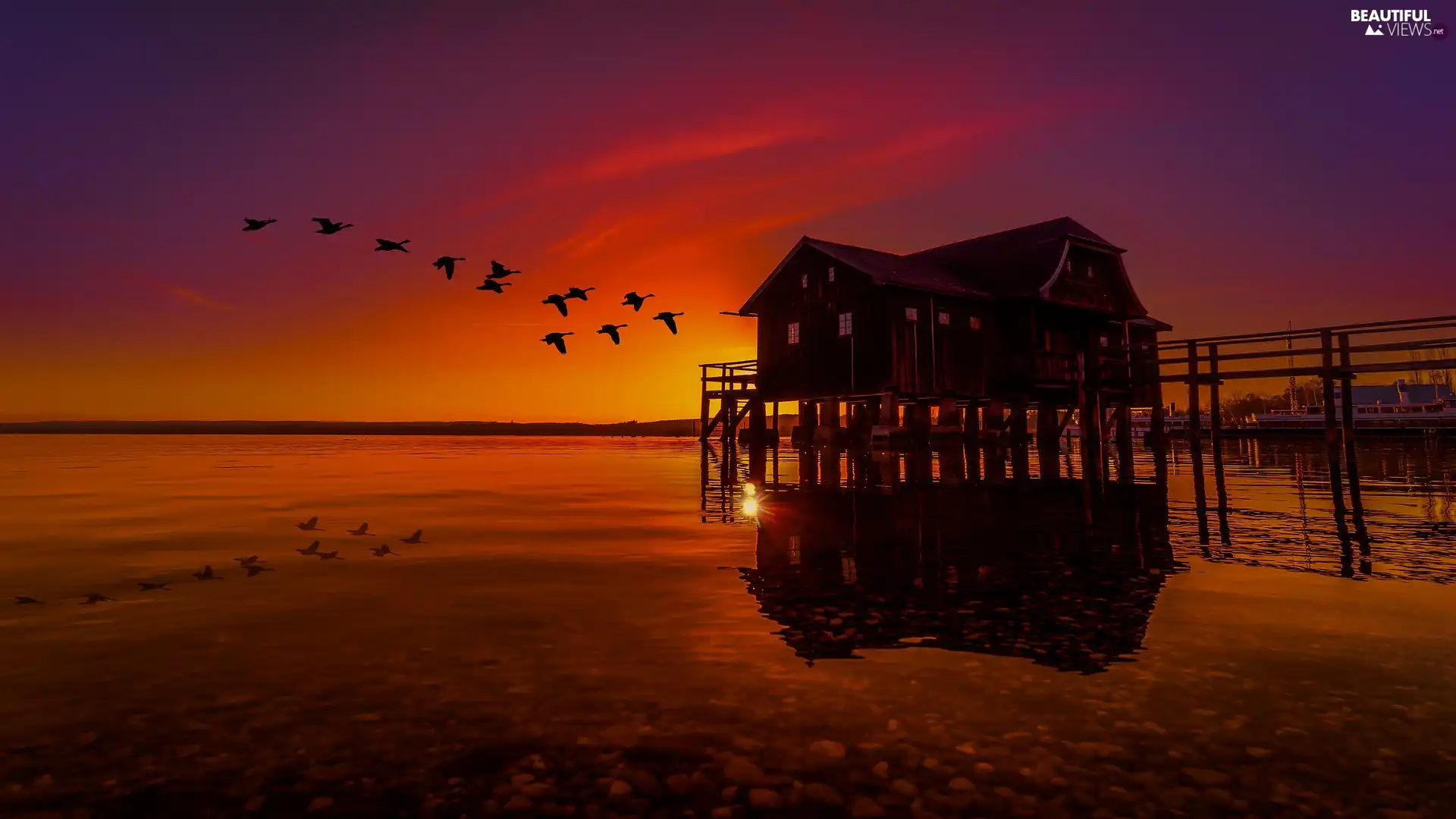 wild, lake, house, birds, Great Sunsets, geese, Platform