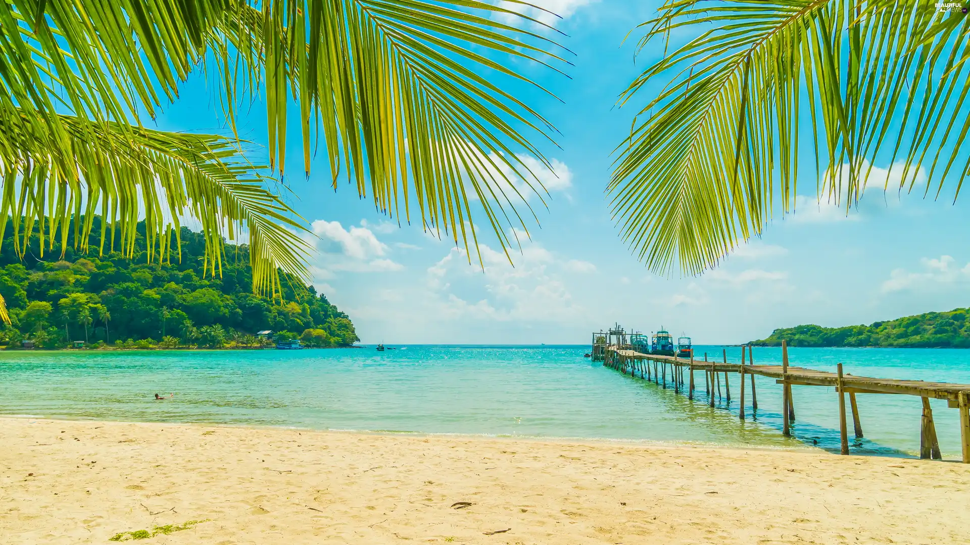 sea, Palms, Beaches, Platform