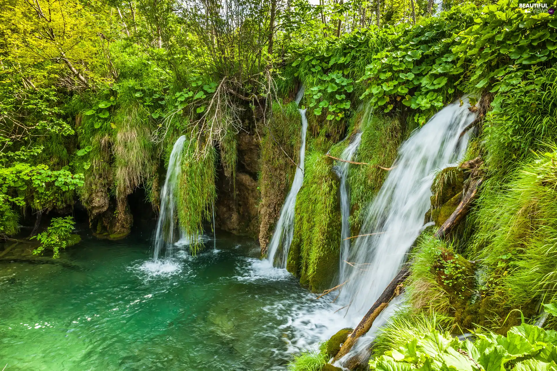 Coartia, waterfall, VEGETATION, Plitvice Lakes National Park