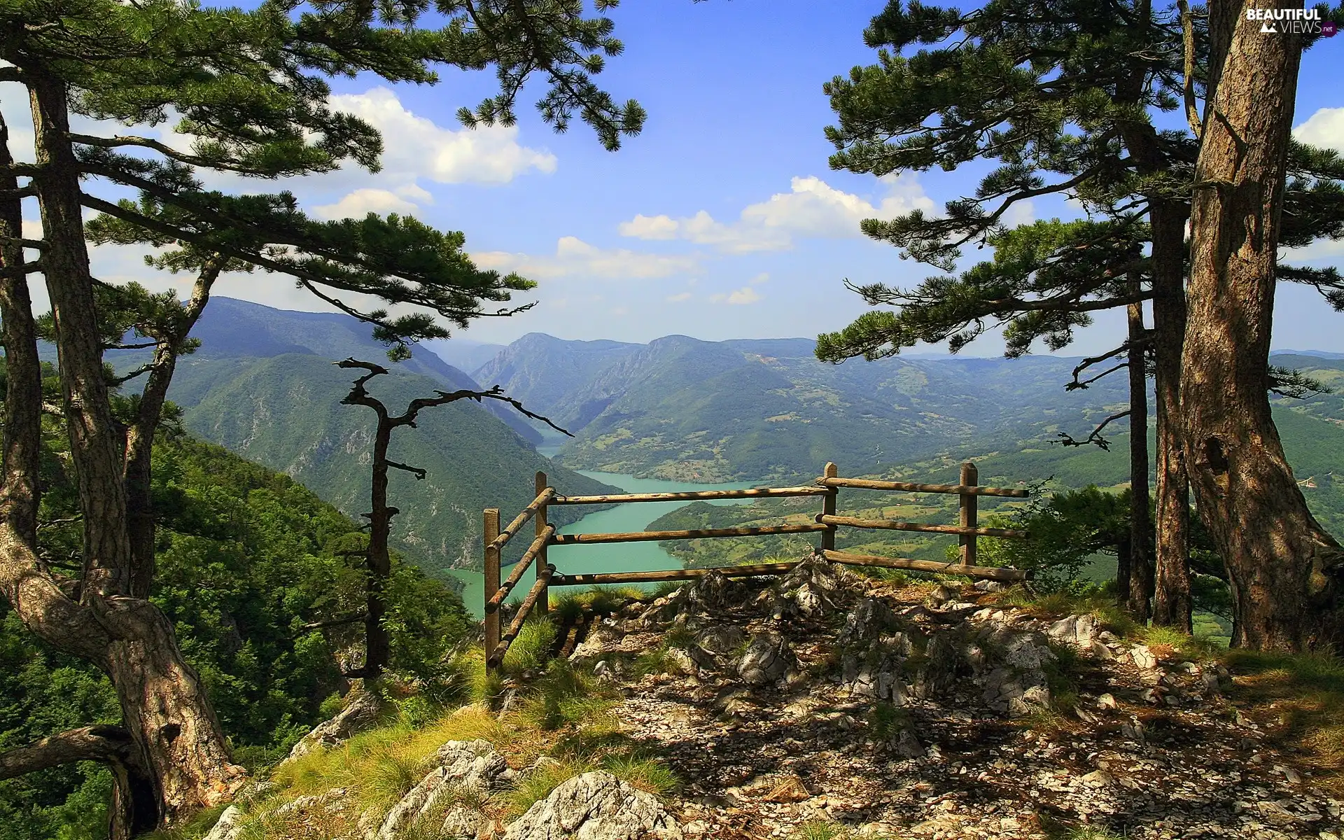 trees, River, point, landscape, viewes, Mountains