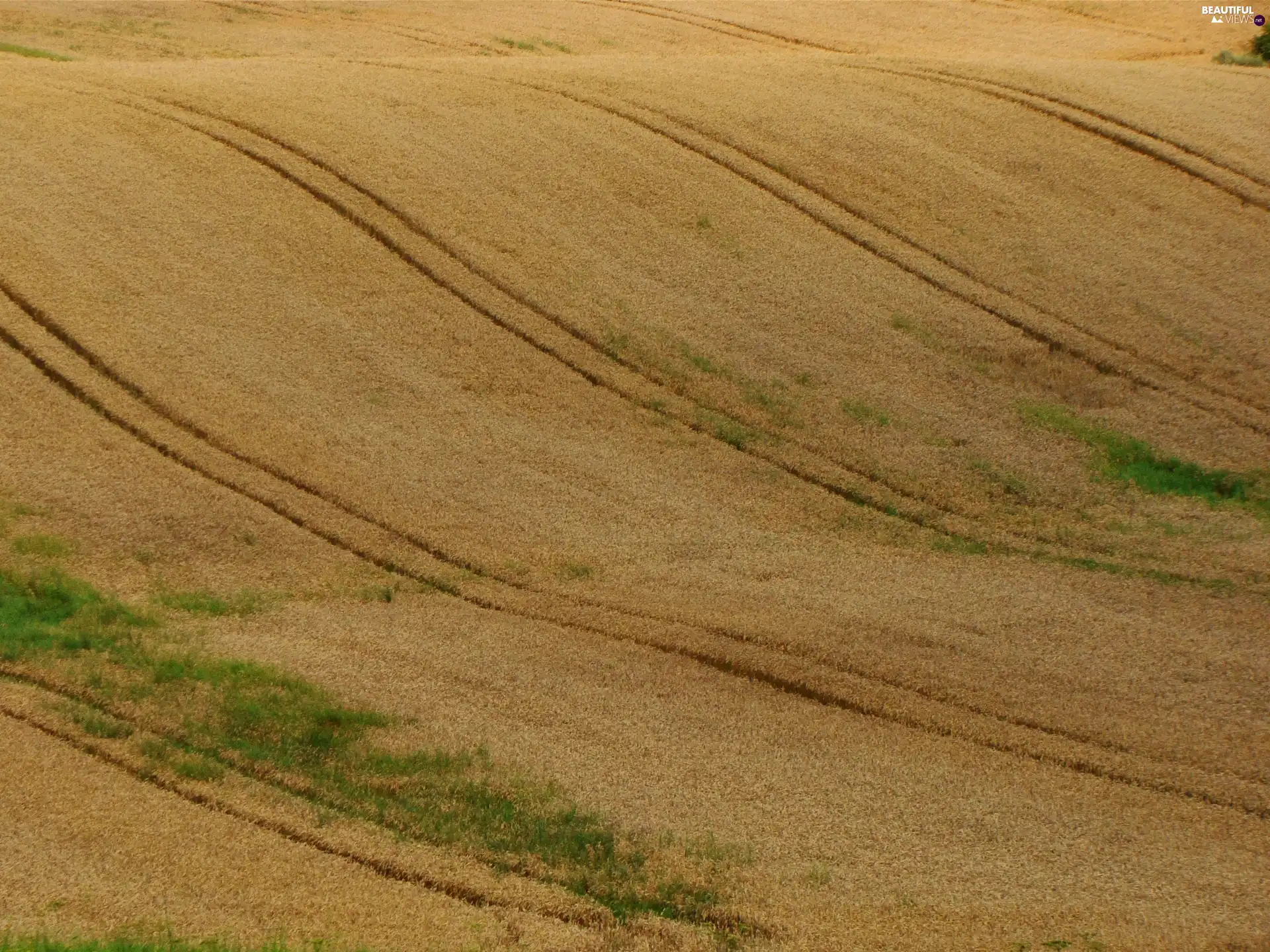 Poland, Field, traces