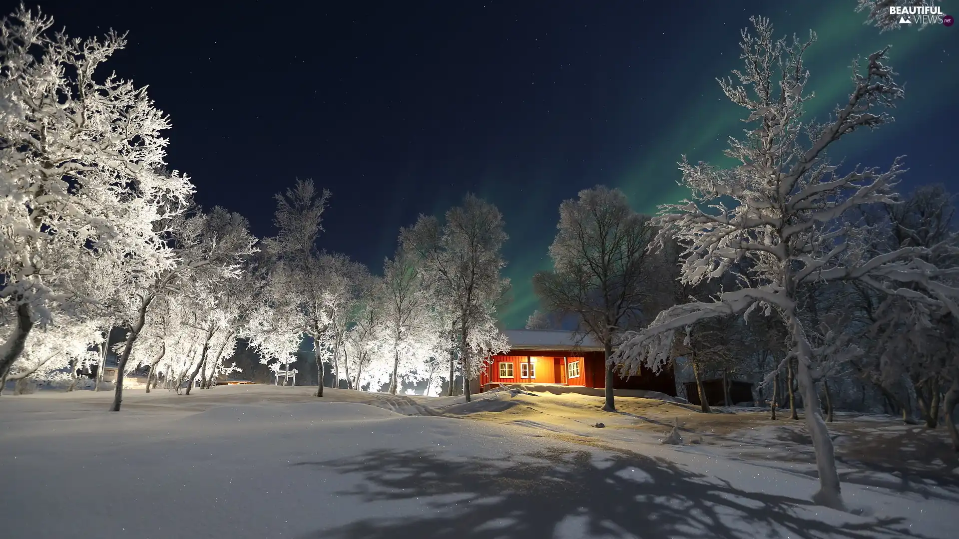 viewes, Snowy, house, trees, winter, snow, aurora polaris