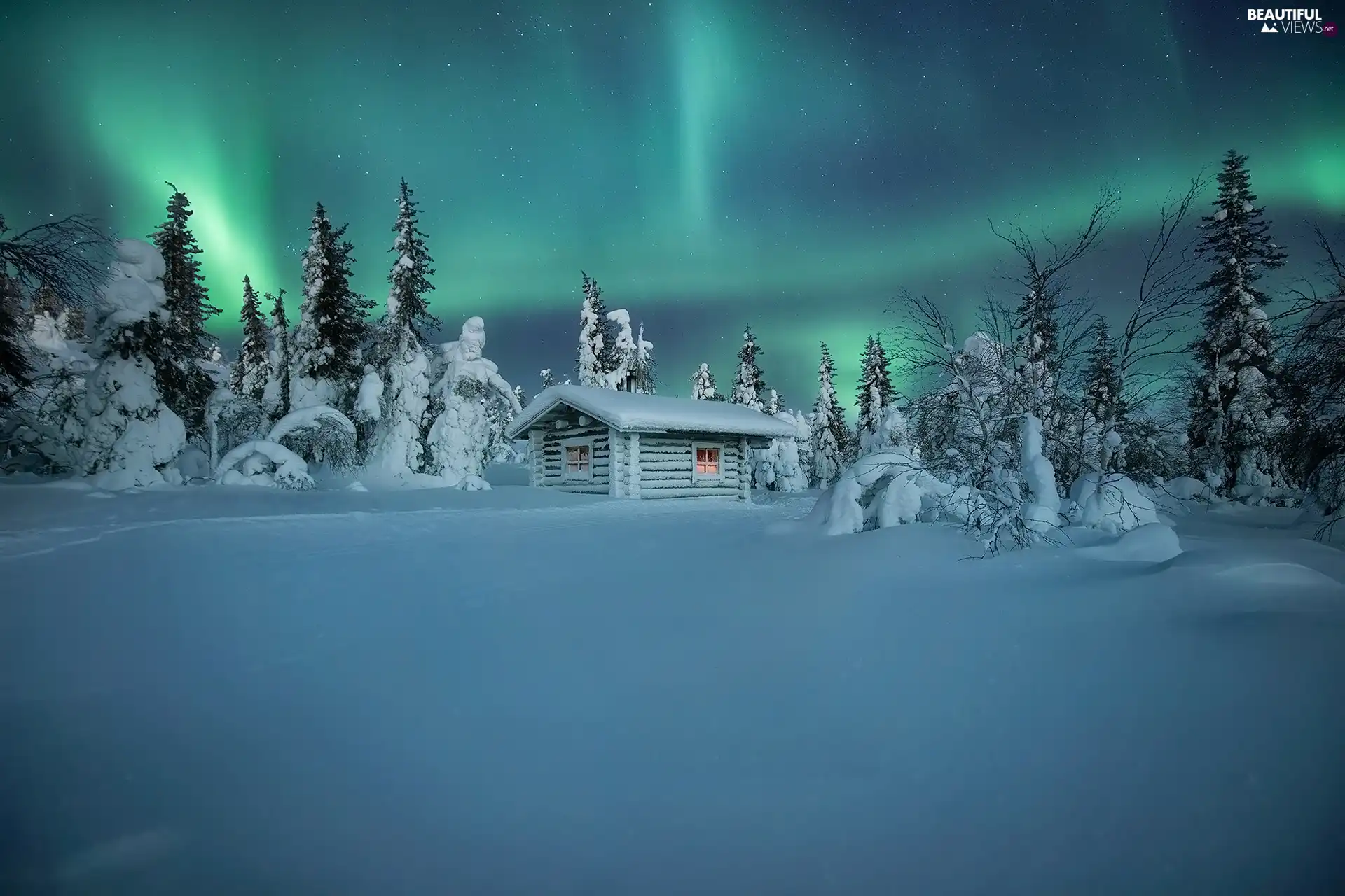 trees, viewes, aurora polaris, Home, winter