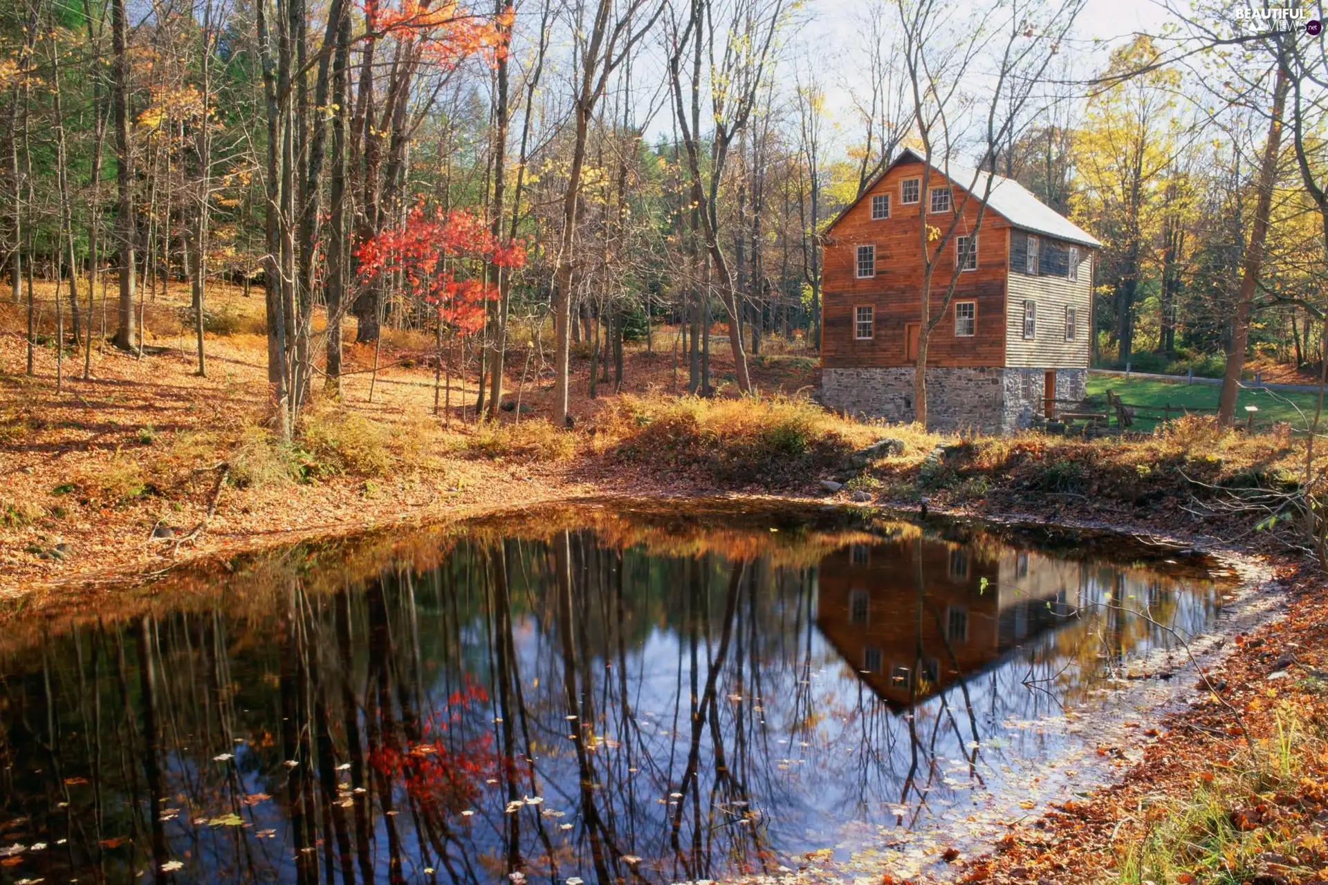 autumn, forest, Pond - car, house