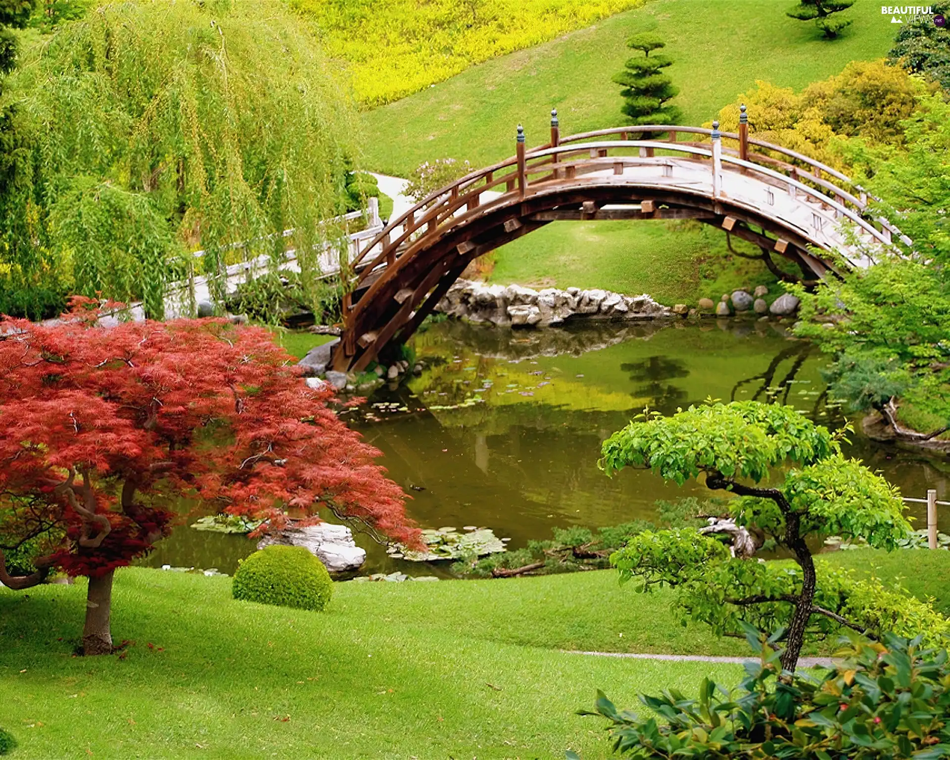 Park, bridges, Pond - car, japanese