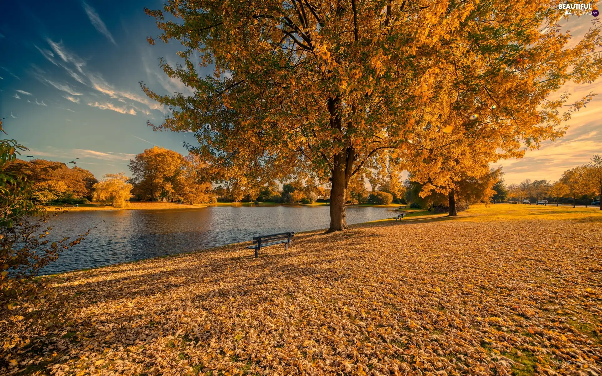 Pond - car, Bench, viewes, fallen, trees, Park, autumn, Leaf