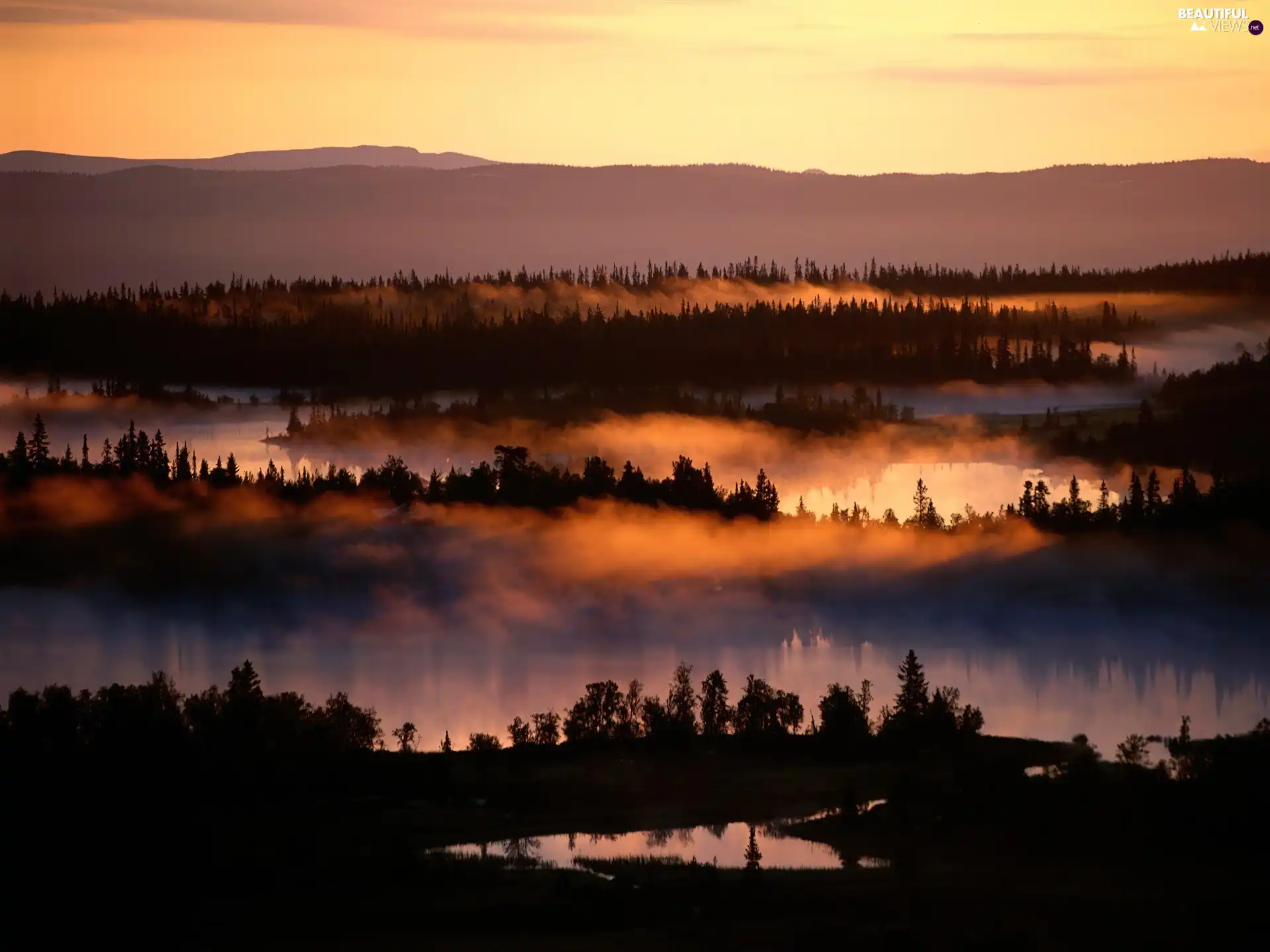 ponds, dark, west, sun, The Hills, forest